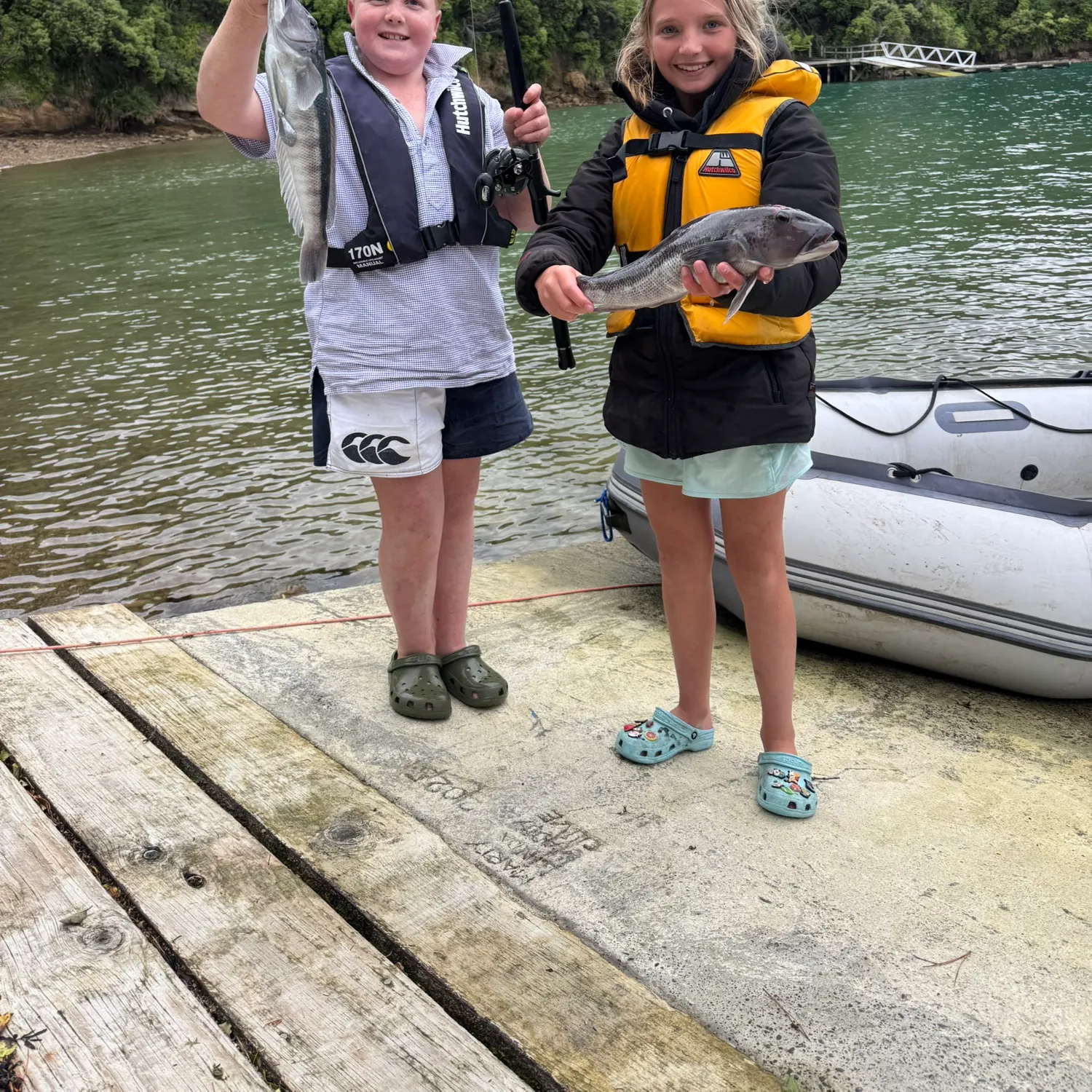 The most recent Blue cod catches on Fishbrain