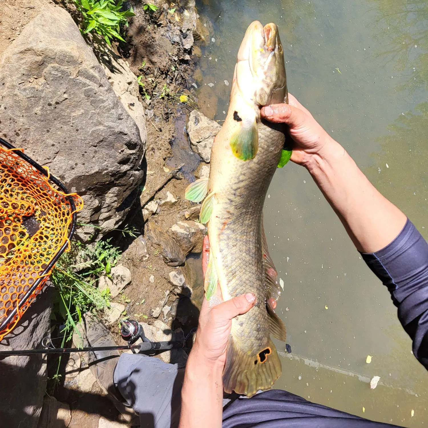 catch