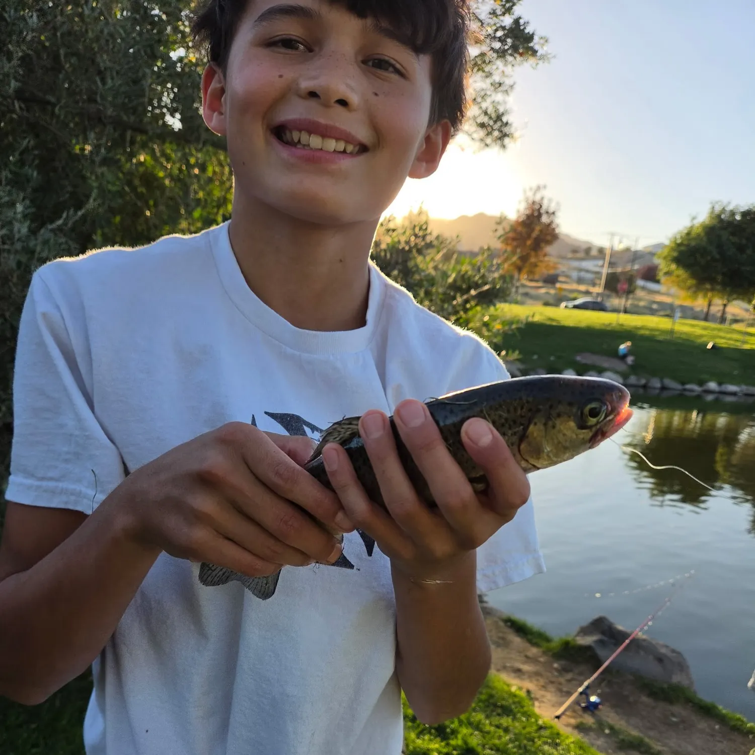 Rainbow trout caught on Fishbrain