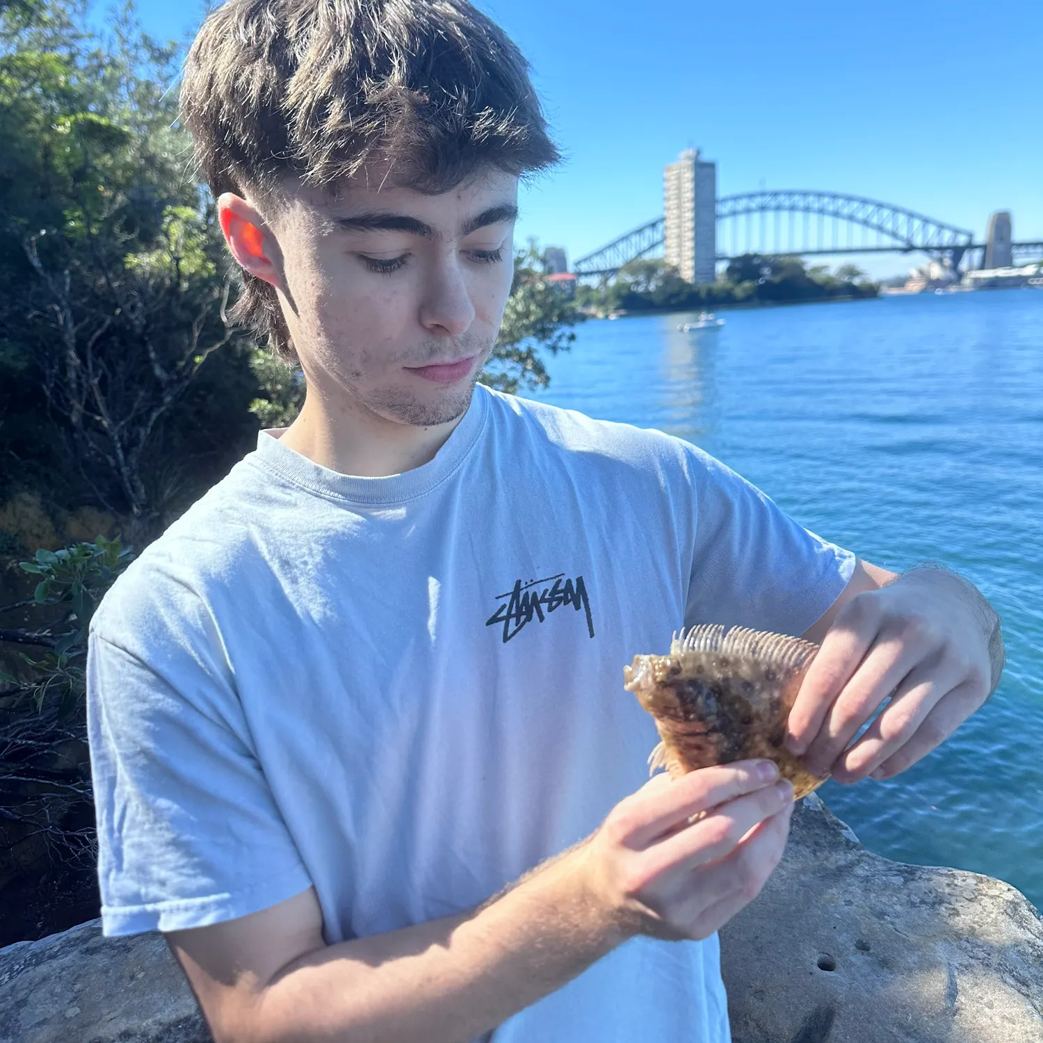 The most recent Black flounder catches on Fishbrain