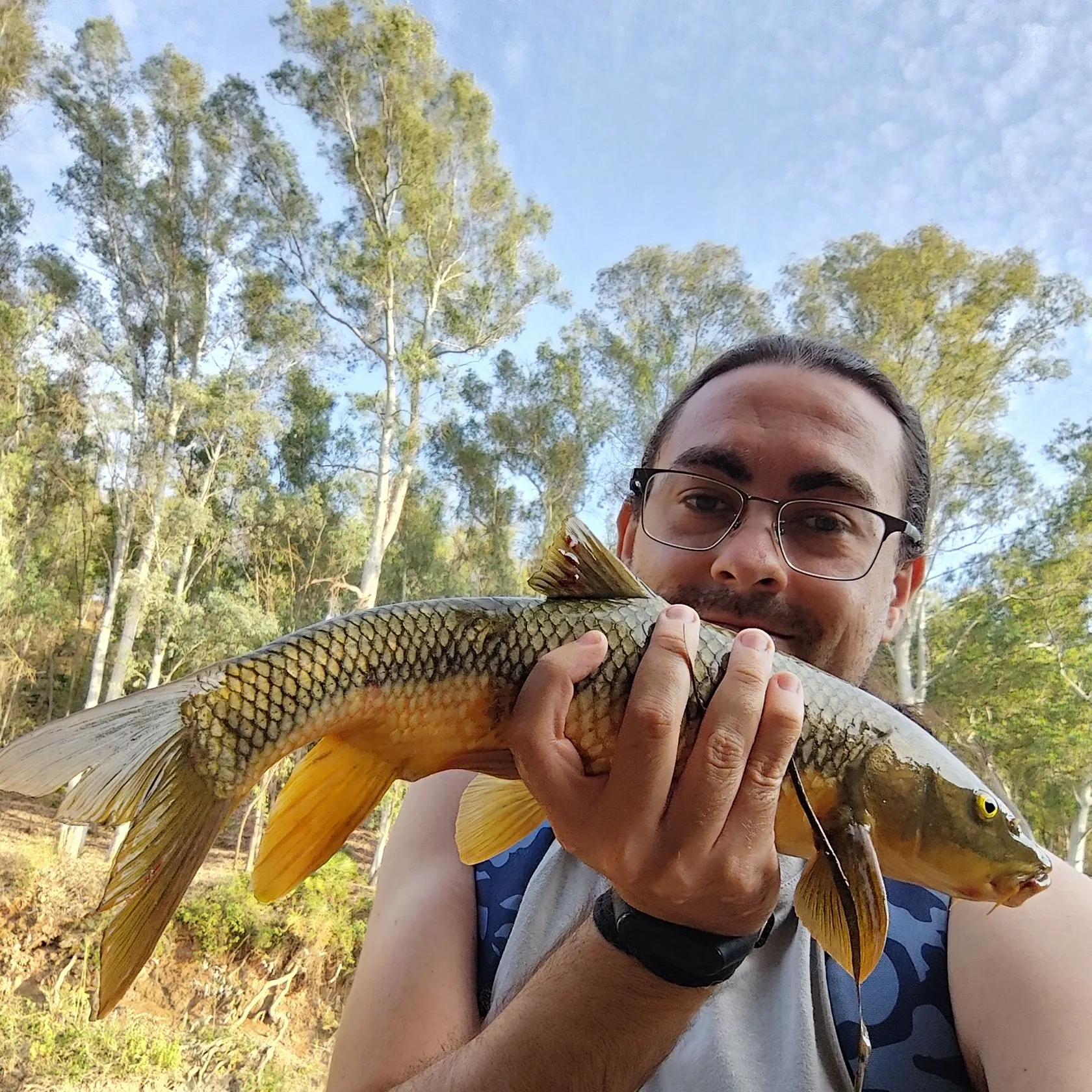The most recent Andalusian barbel catches on Fishbrain