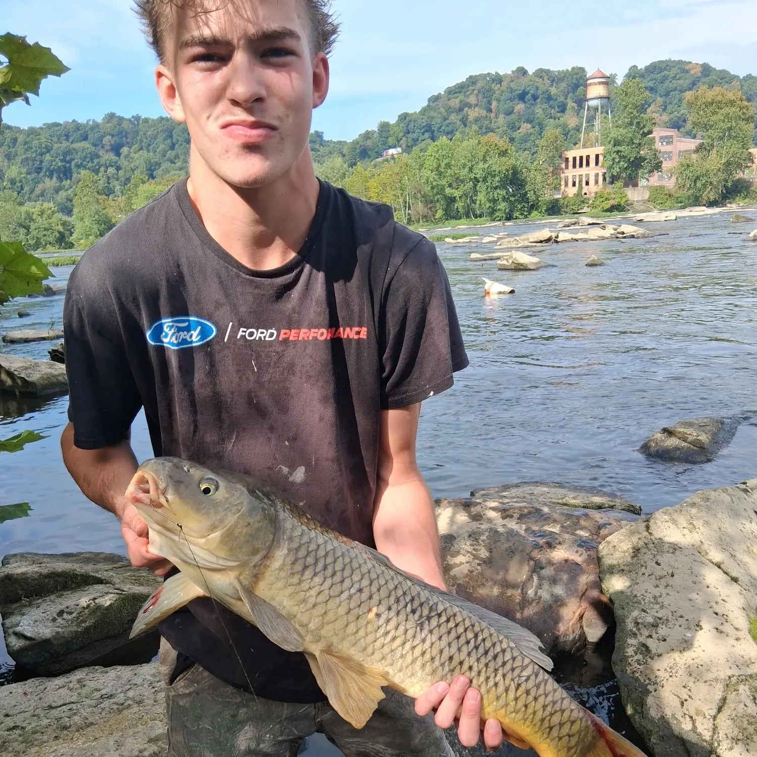 Common carp caught on Fishbrain