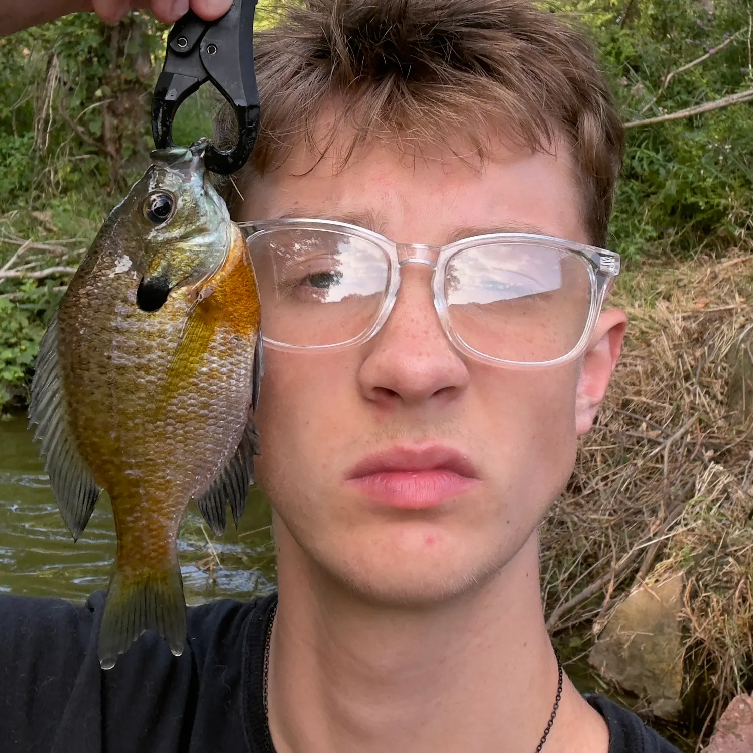 Pumpkingill hybrid caught on Fishbrain