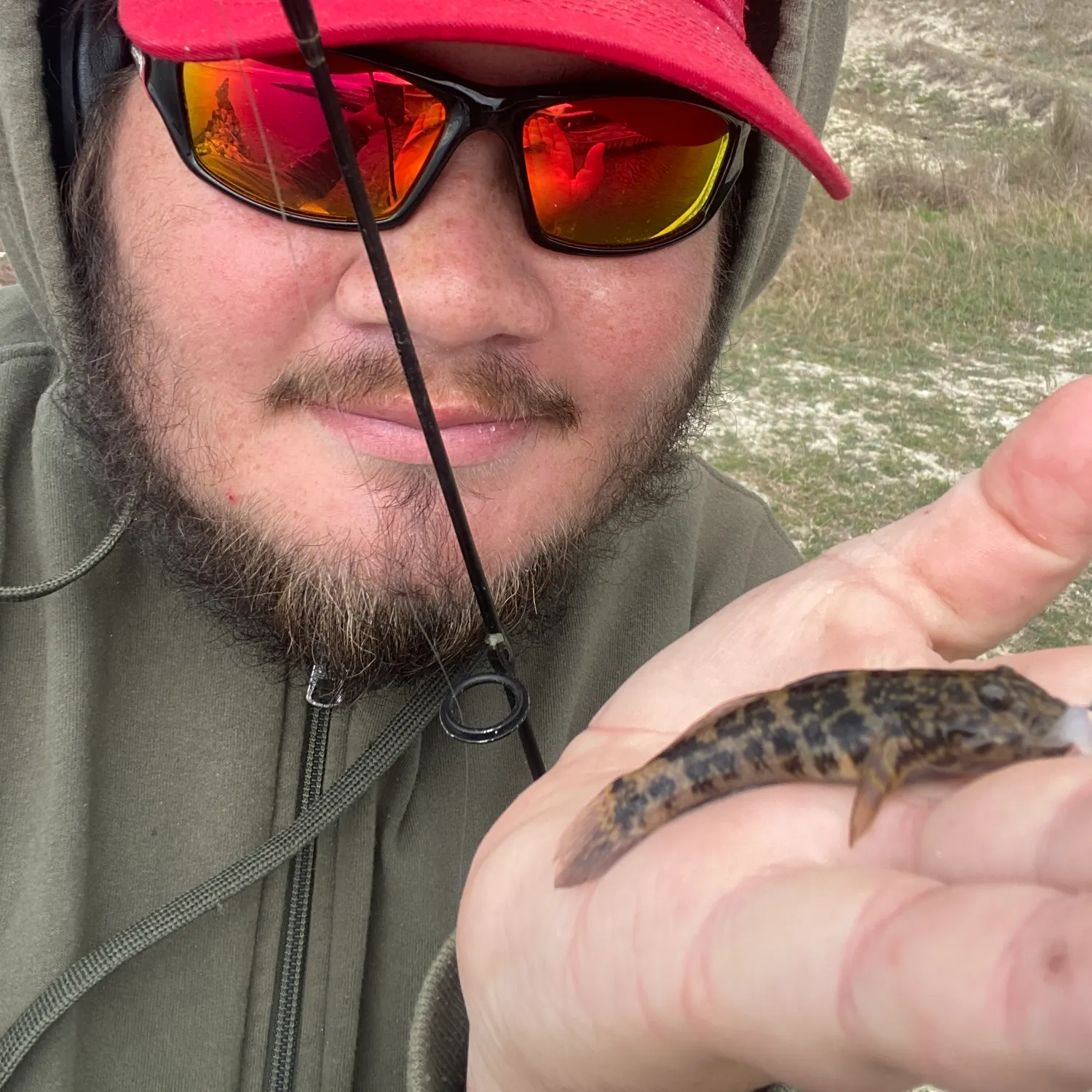 The most recent Frillfin goby catches on Fishbrain