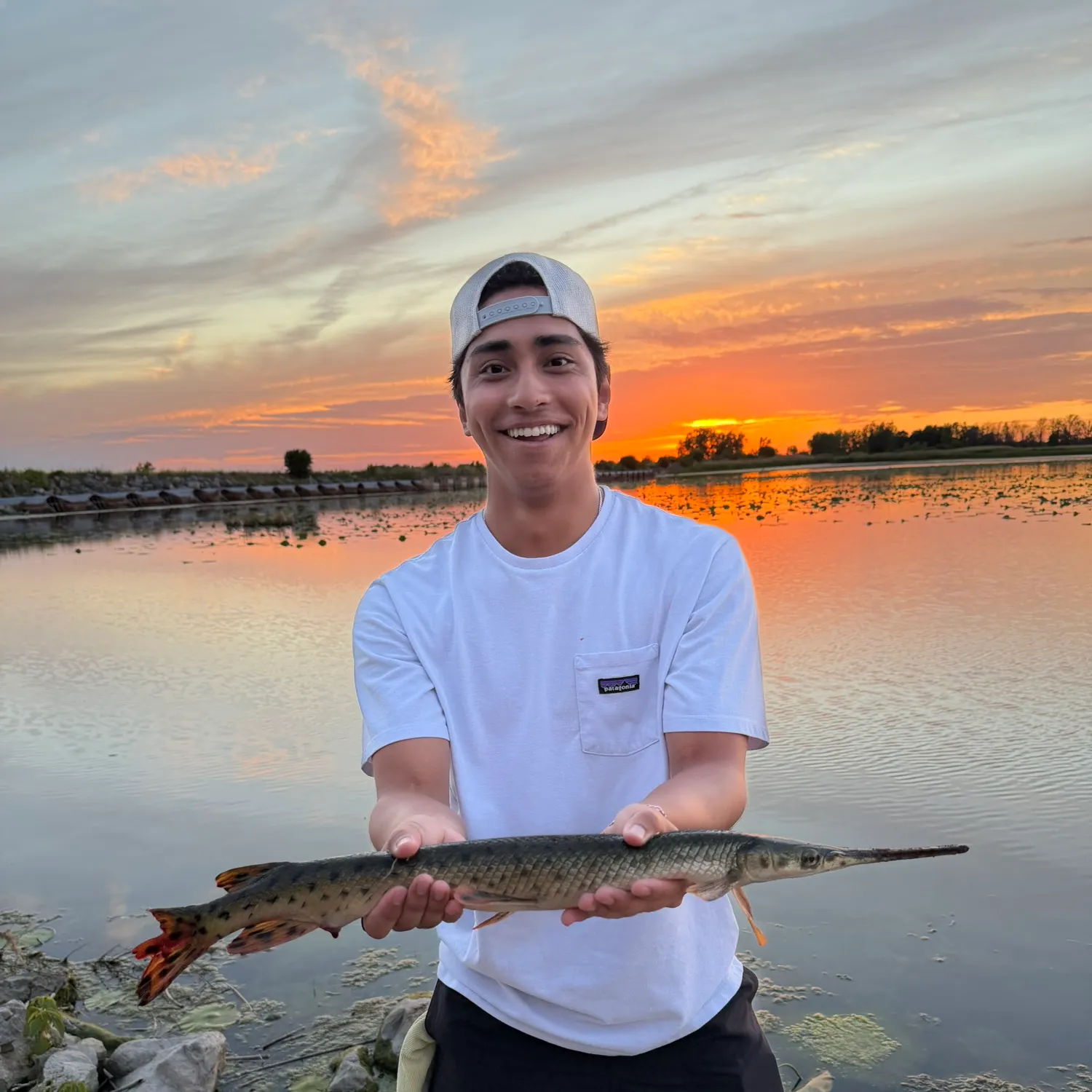 catch