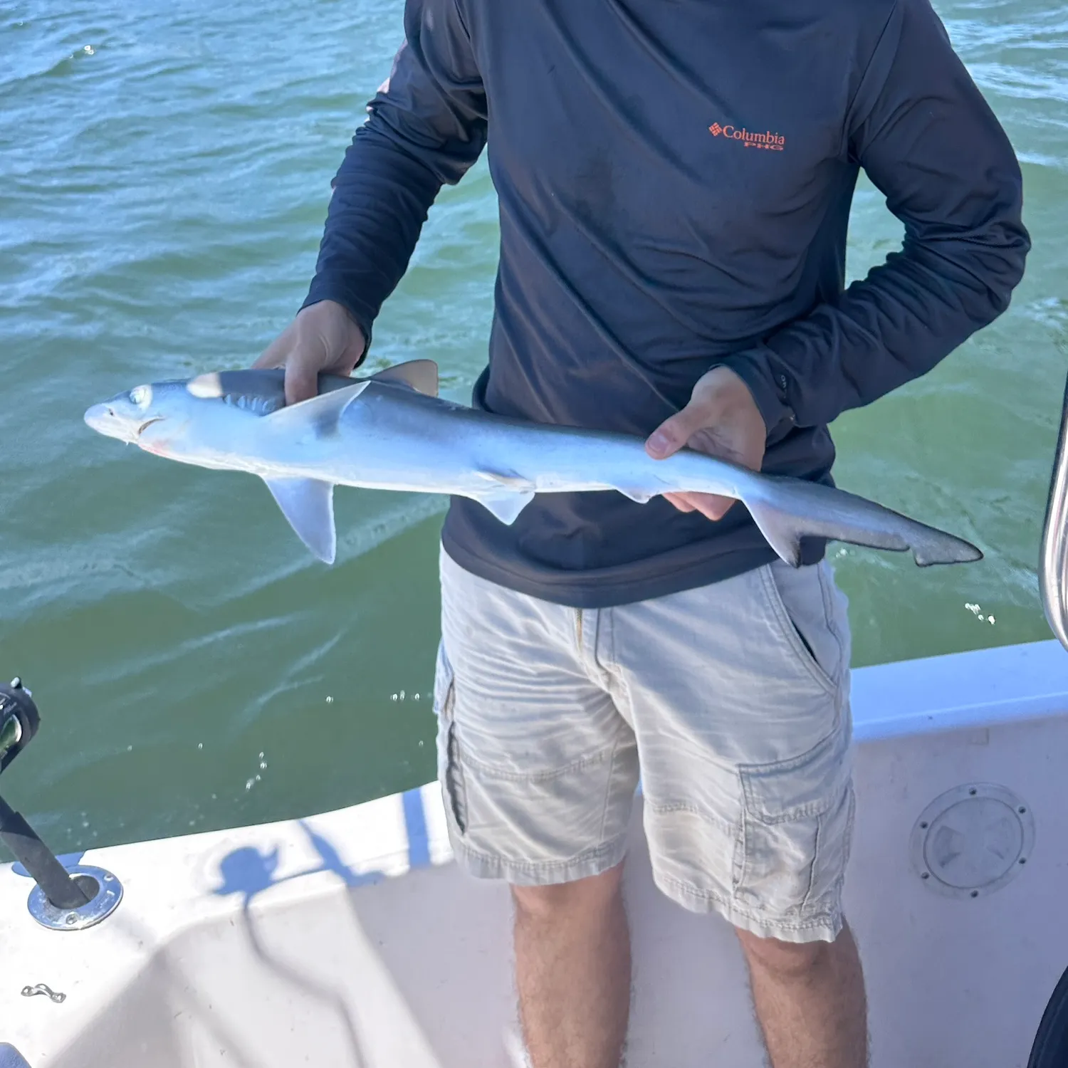The most recent Atlantic sharpnose shark catches on Fishbrain
