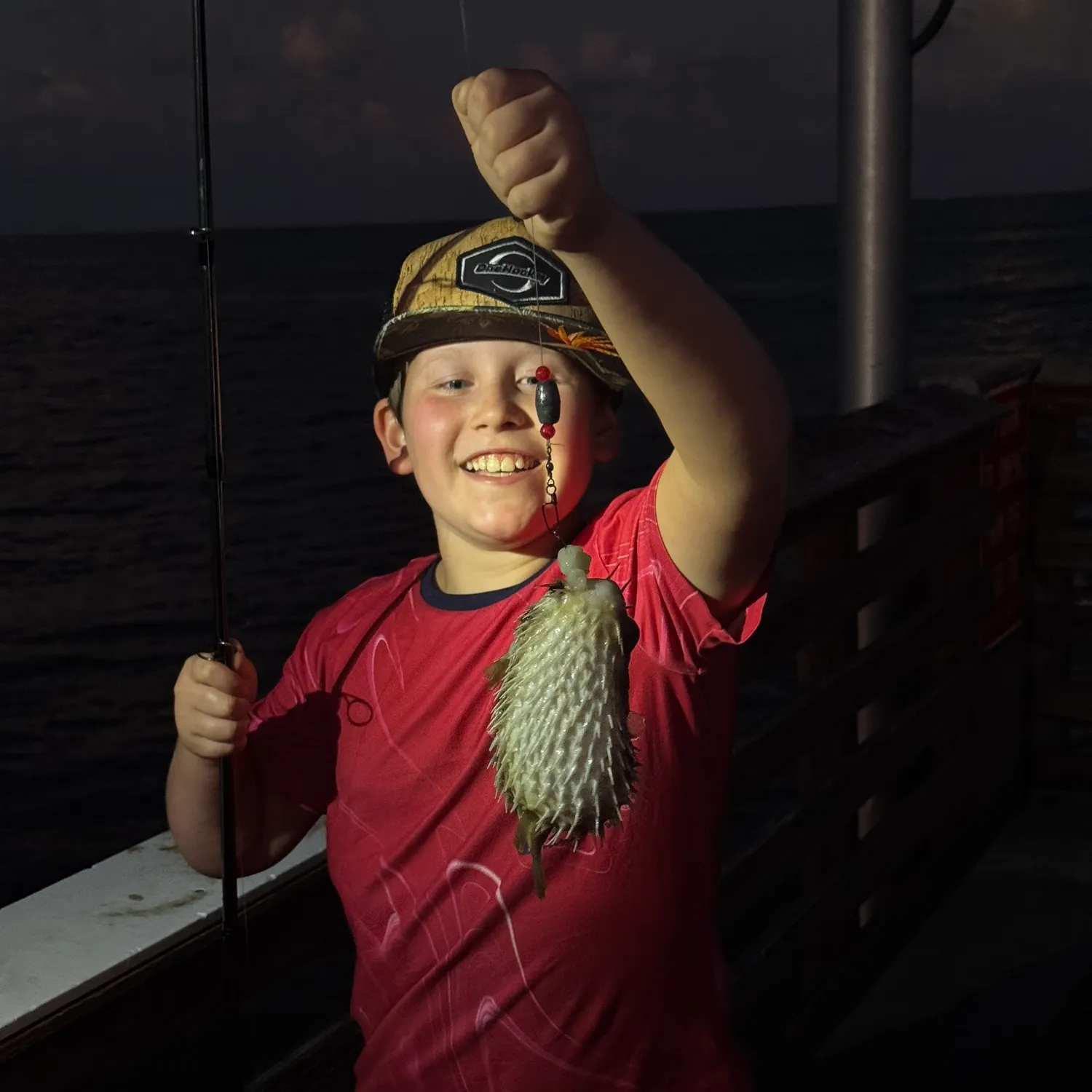Southern puffer caught on Fishbrain