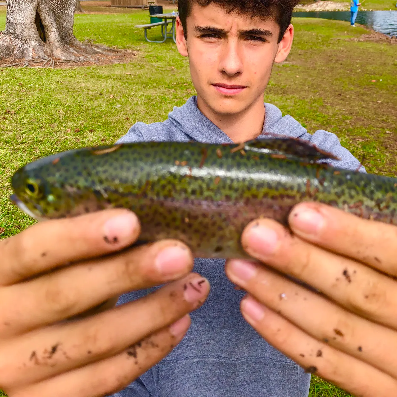 The most recent Rainbow trout catches on Fishbrain