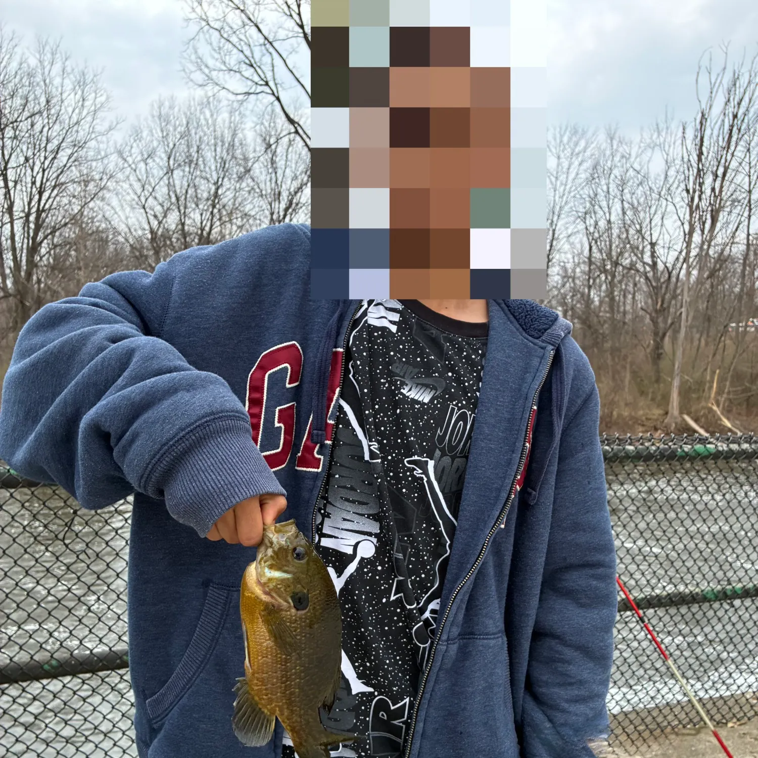 The most recent Green sunfish catches on Fishbrain