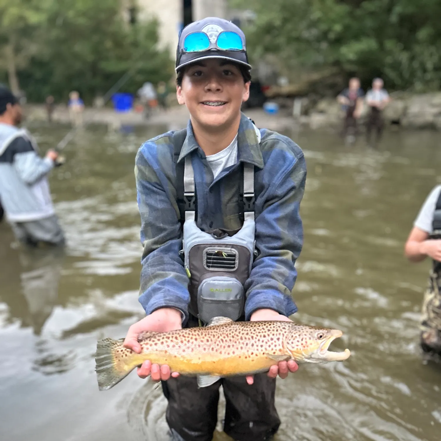 Brown trout caught on Fishbrain