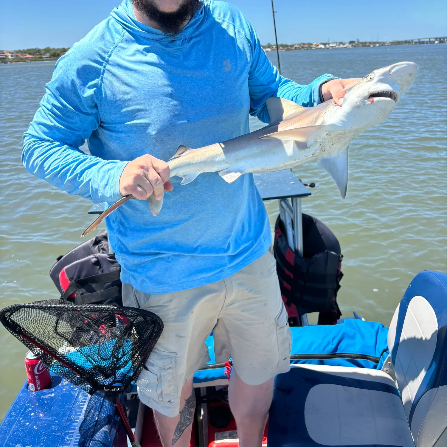 Atlantic sharpnose shark caught on Fishbrain