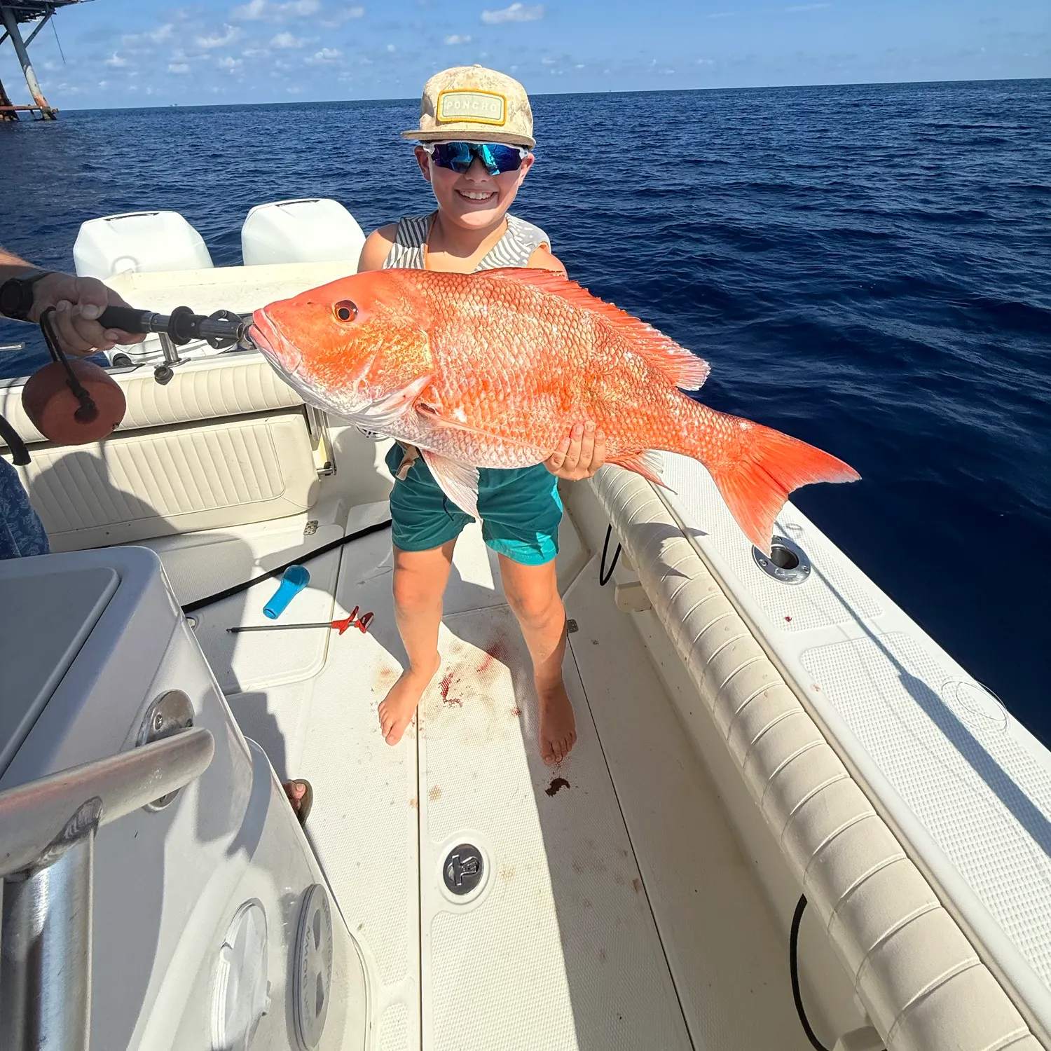 Northern red snapper caught on Fishbrain