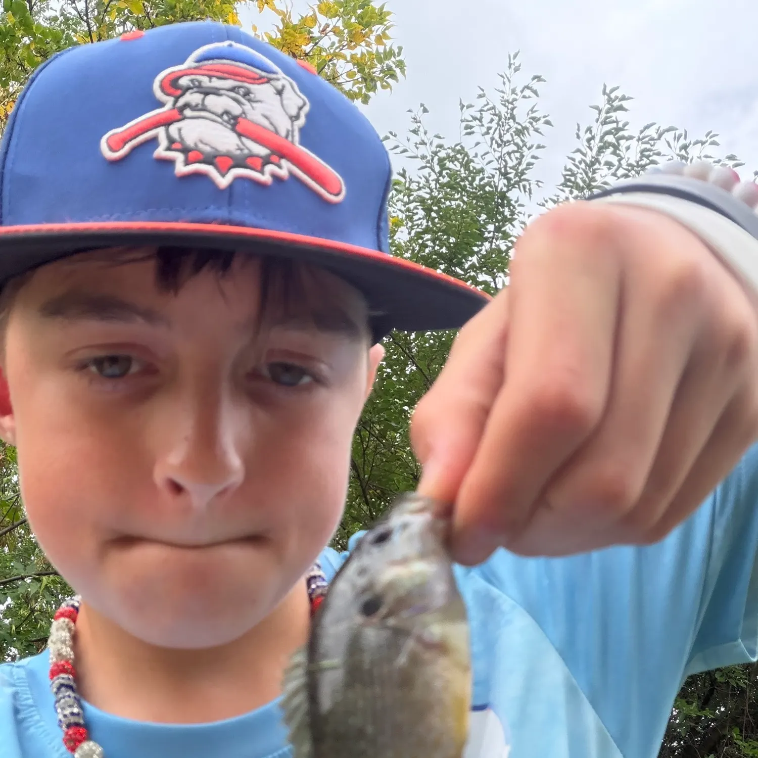 Greengill hybrid caught on Fishbrain