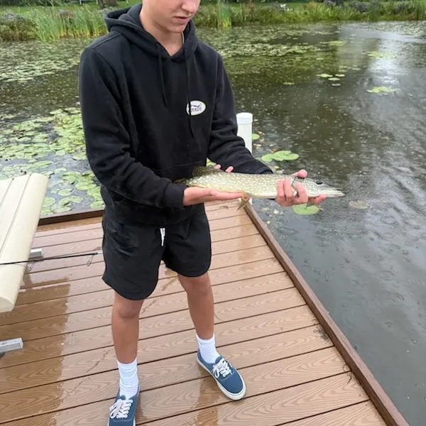 Northern pike caught on Fishbrain