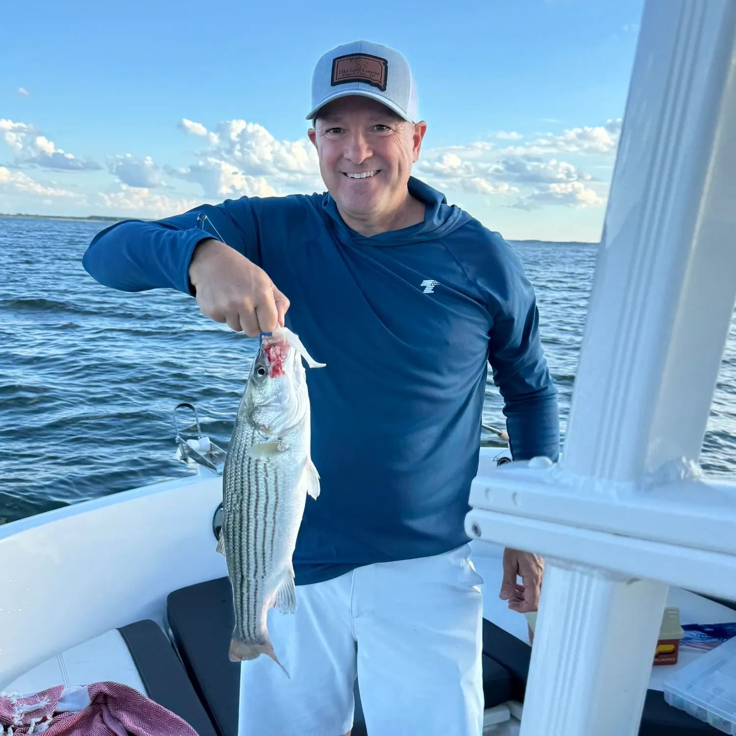 Striped bass caught on Fishbrain