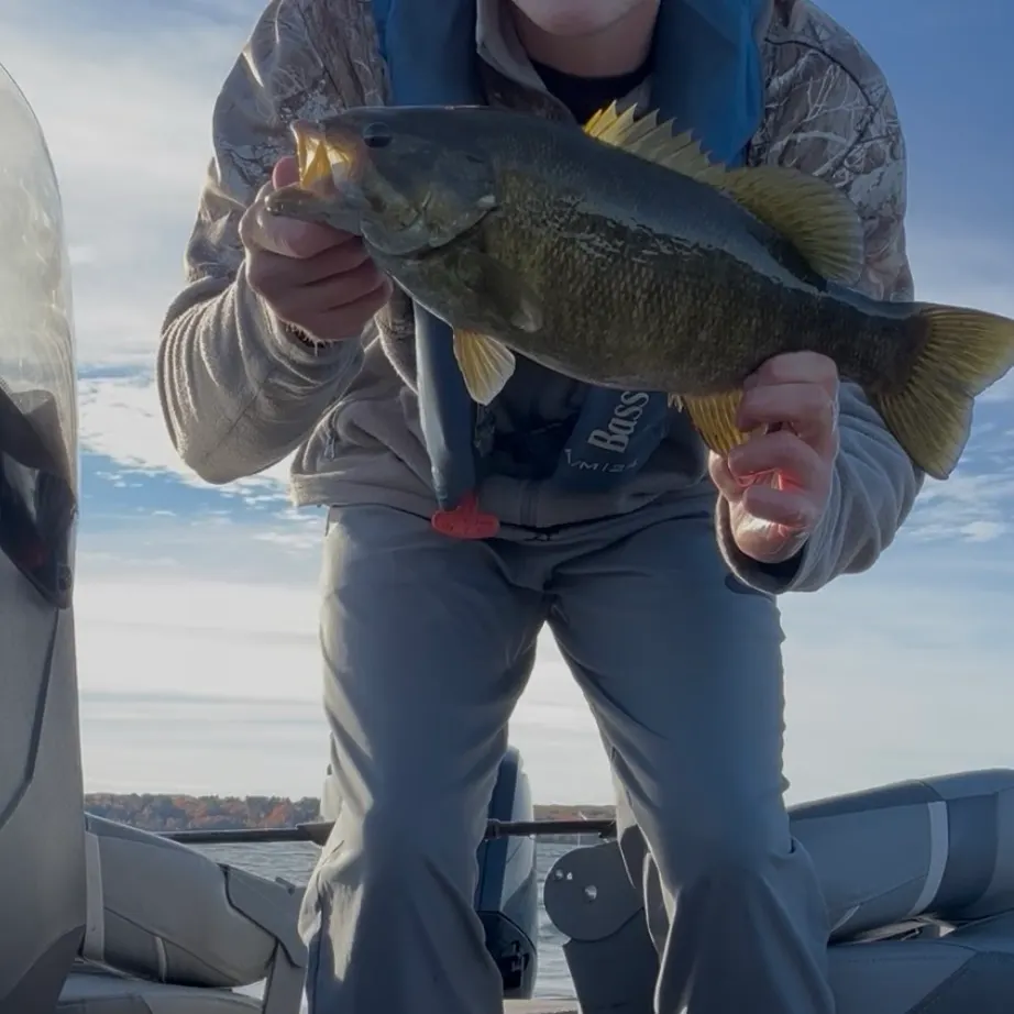 Smallmouth bass caught on Fishbrain
