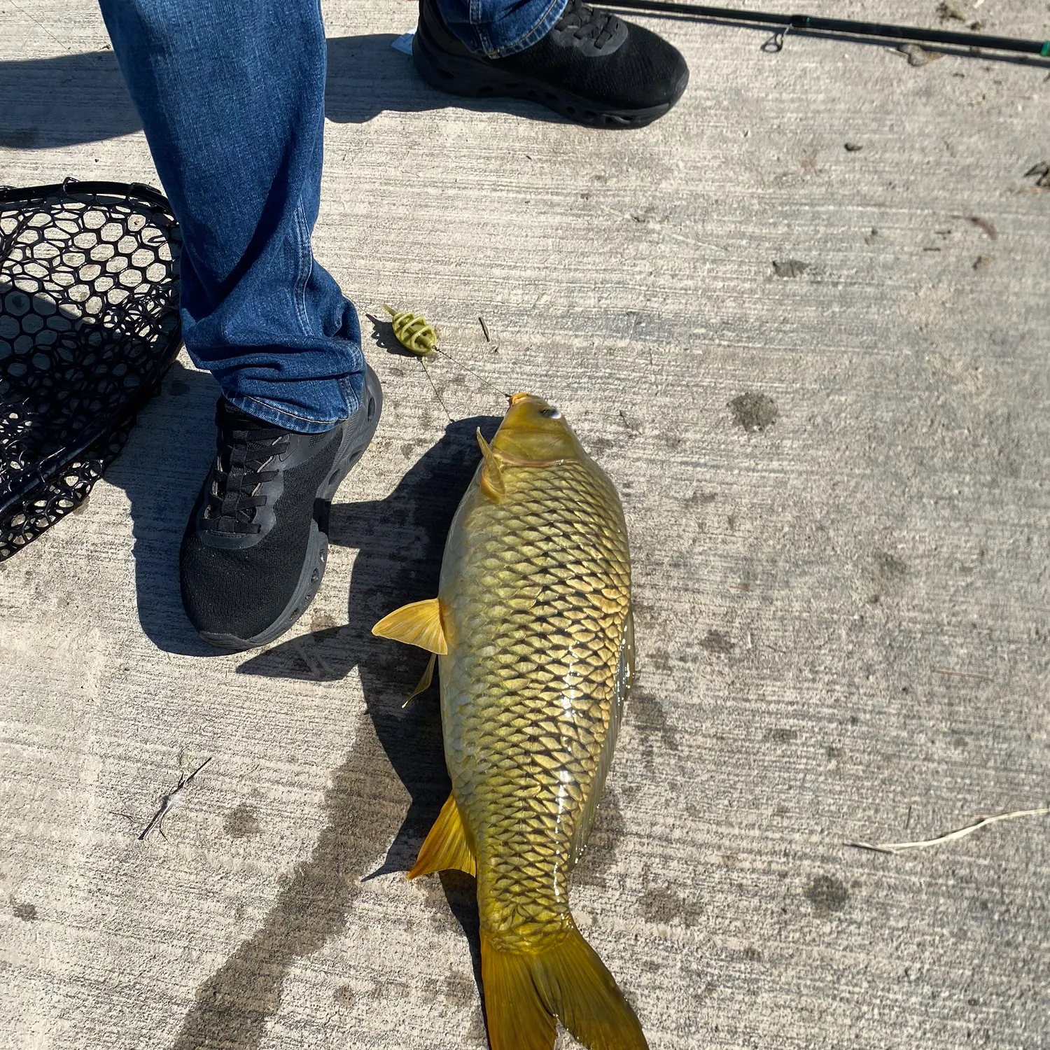 catch