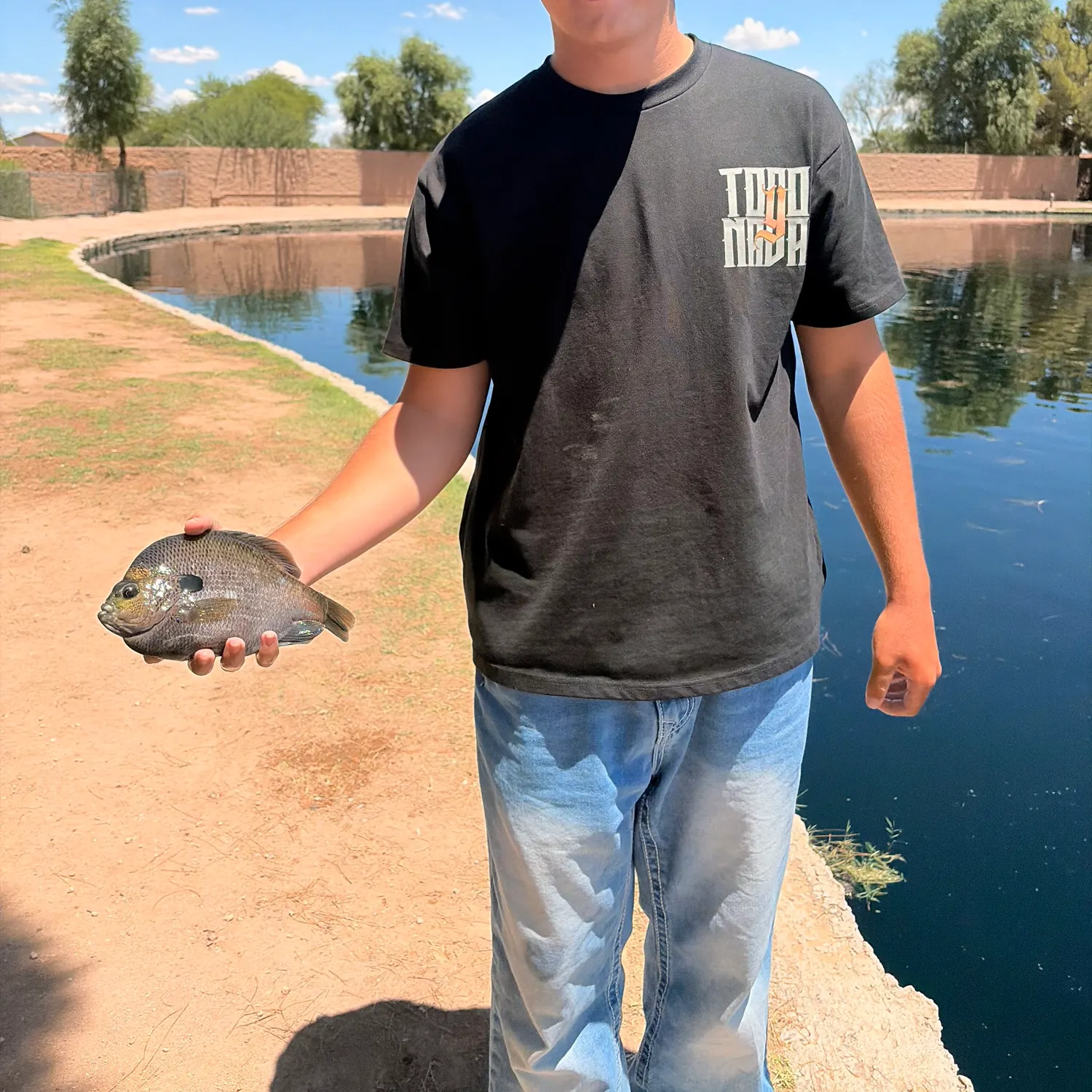 Bluegill caught on Fishbrain