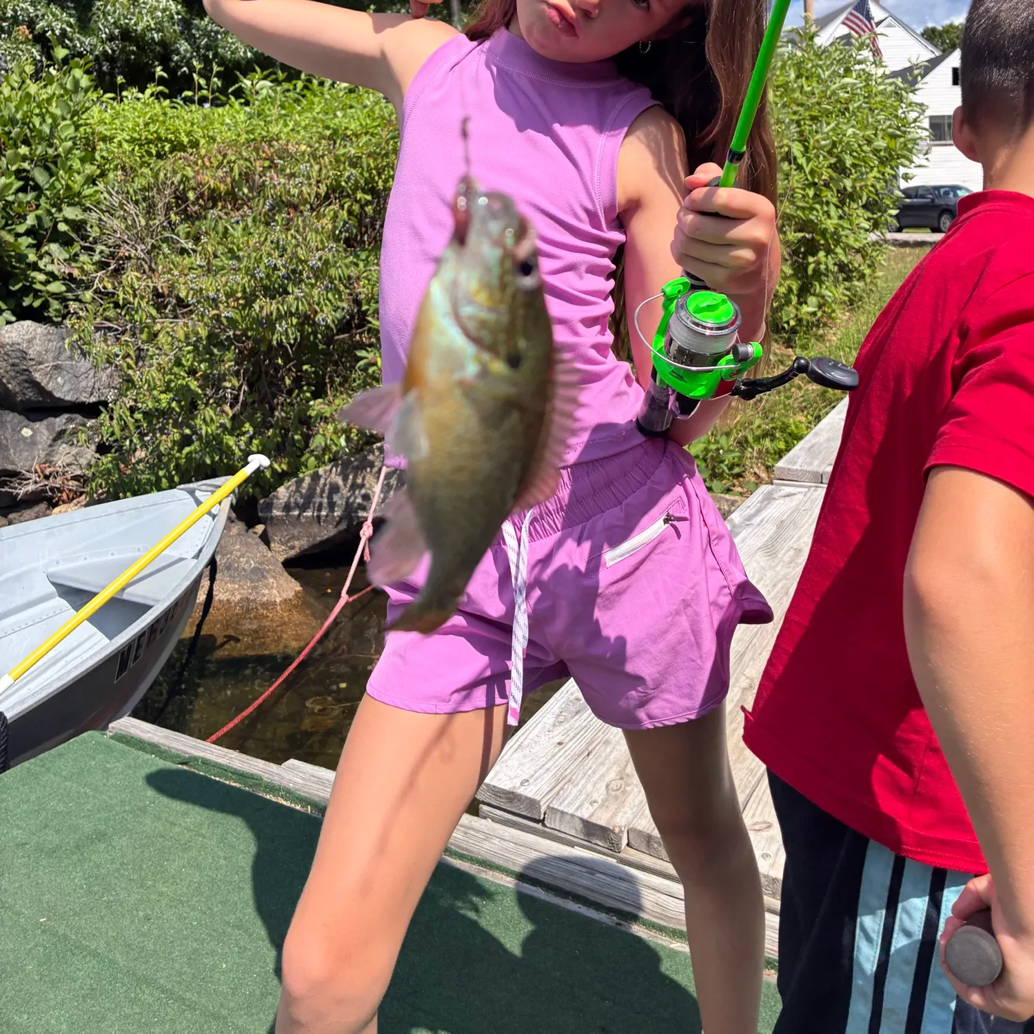 Redbreast sunfish caught on Fishbrain