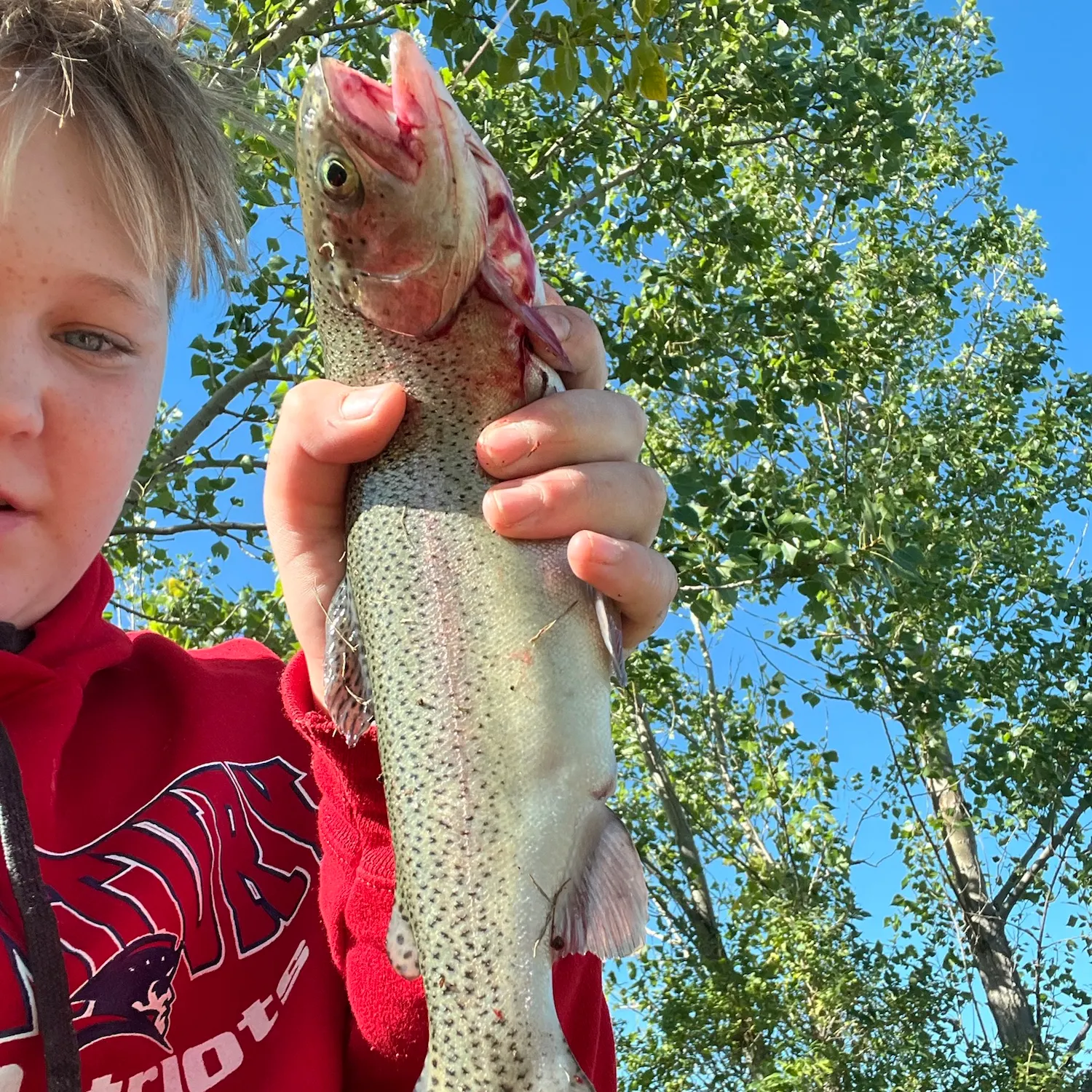 Rainbow trout caught on Fishbrain