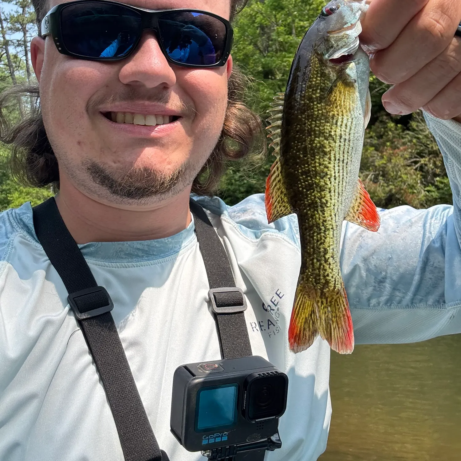 The most popular recent Chattahoochee bass catch on Fishbrain