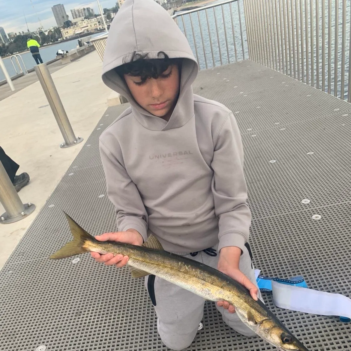 Australian barracuda caught on Fishbrain