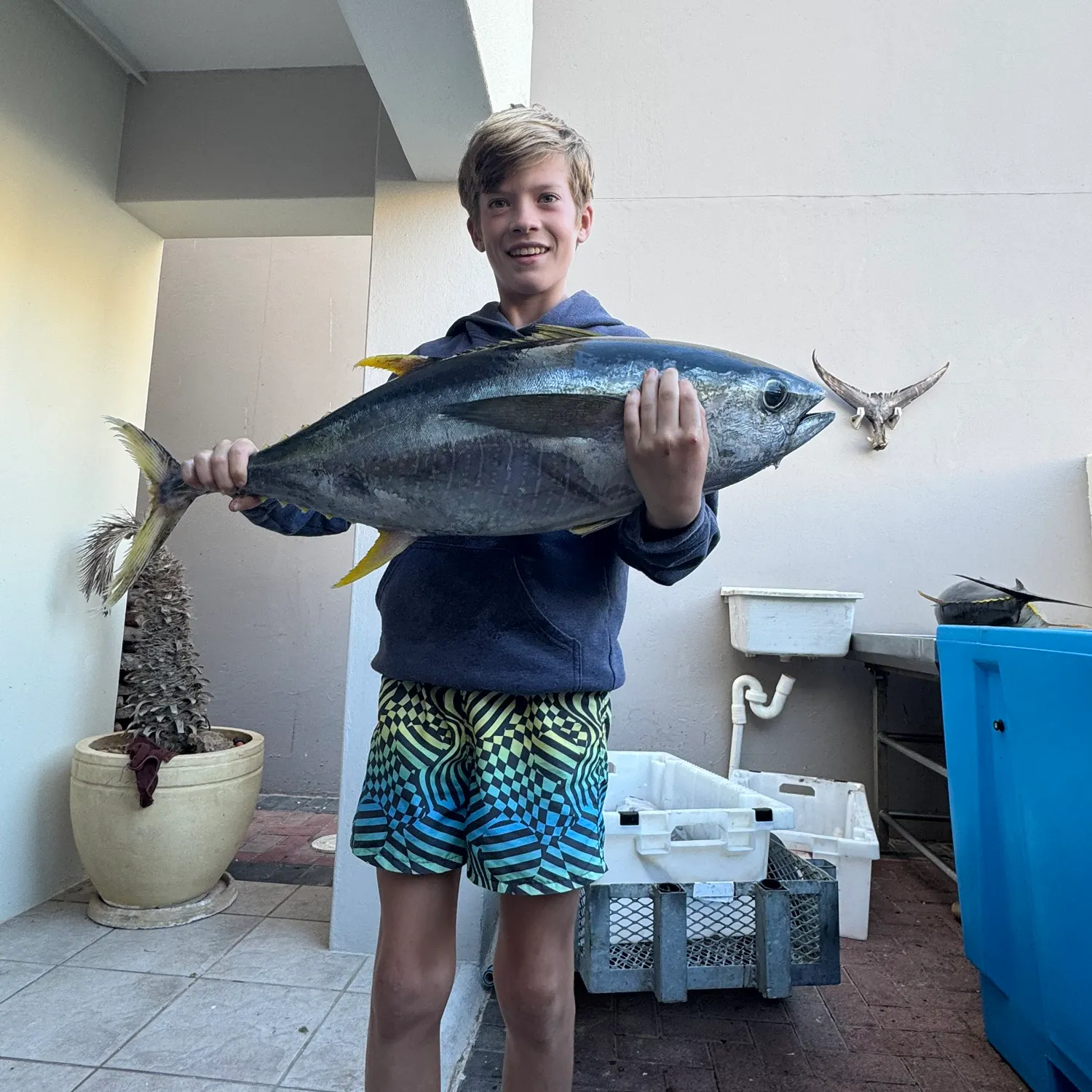 The most recent Yellowfin tuna catches on Fishbrain