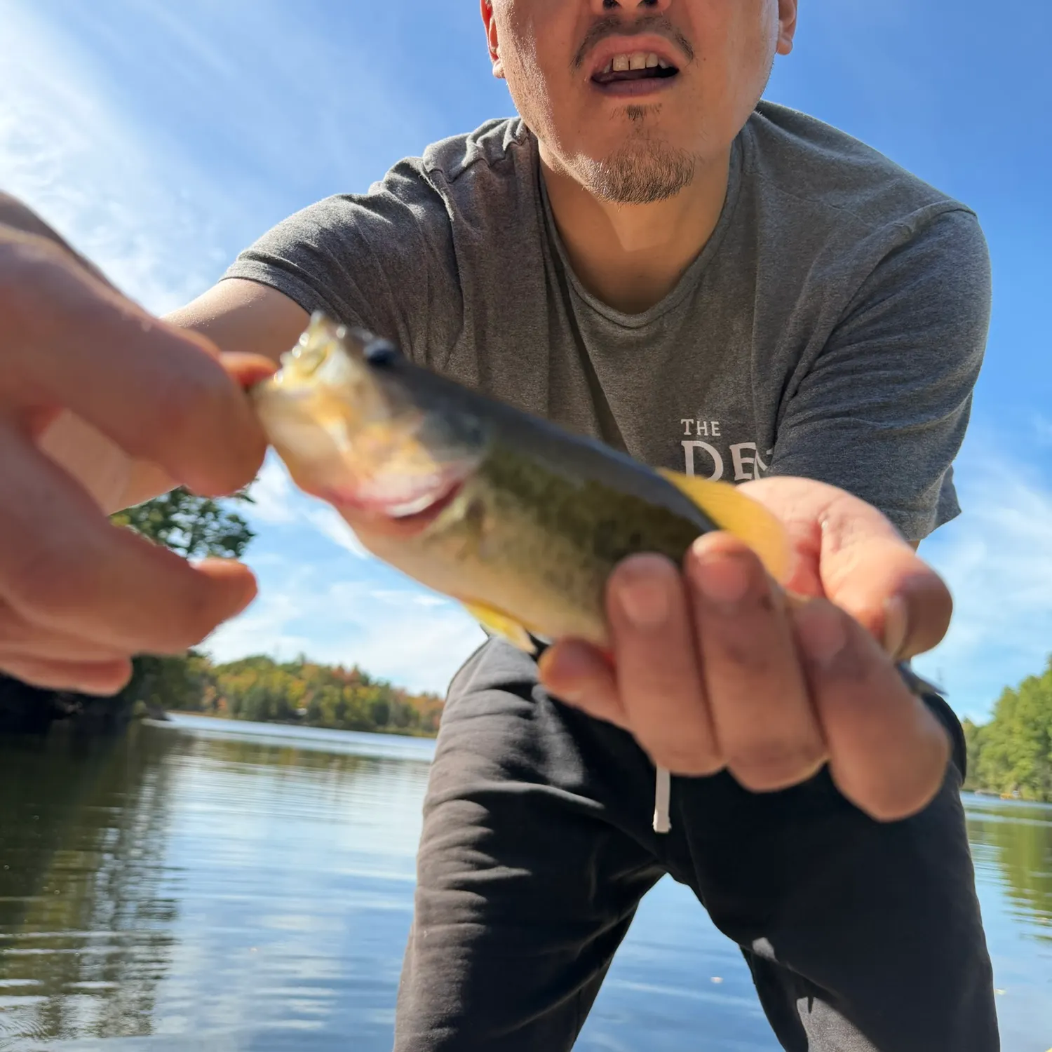 Smallmouth bass caught on Fishbrain