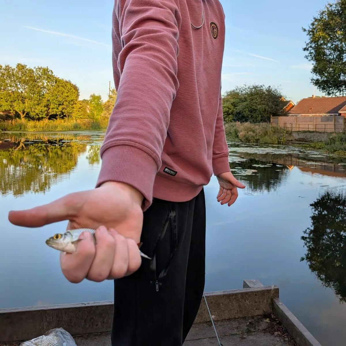 Common roach caught on Fishbrain