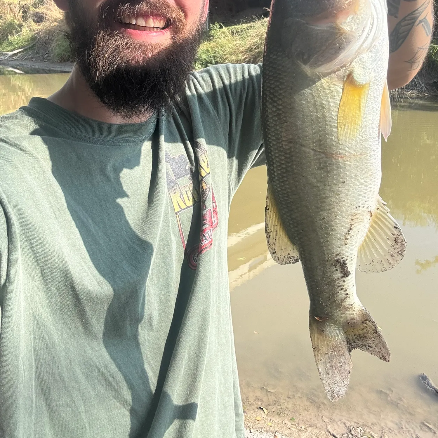 Largemouth bass caught on Fishbrain