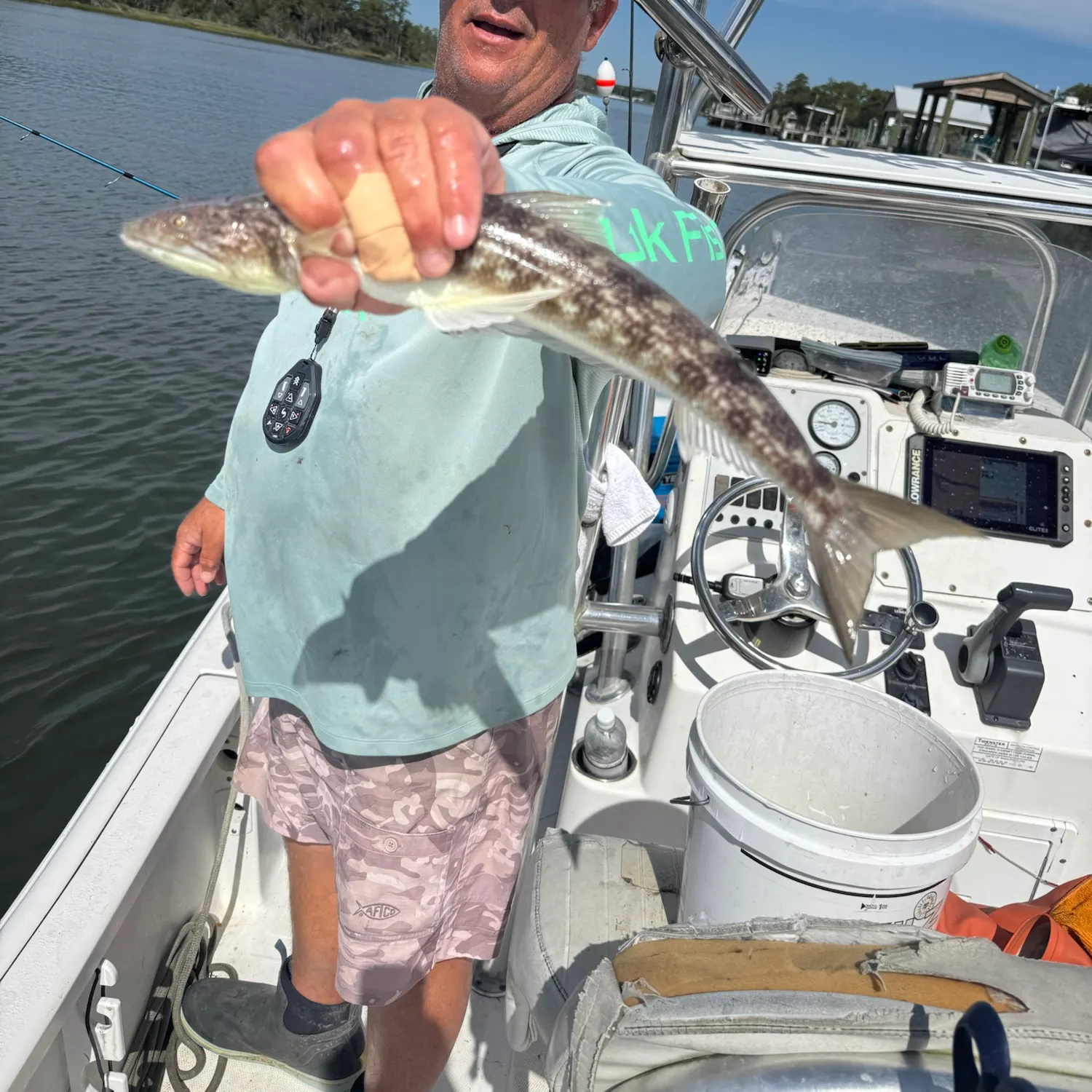 Inshore lizardfish caught on Fishbrain