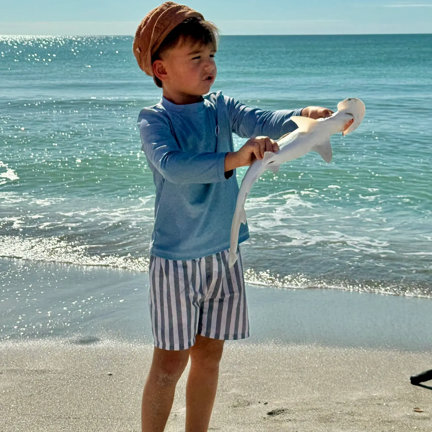 The most recent Bonnethead shark catches on Fishbrain