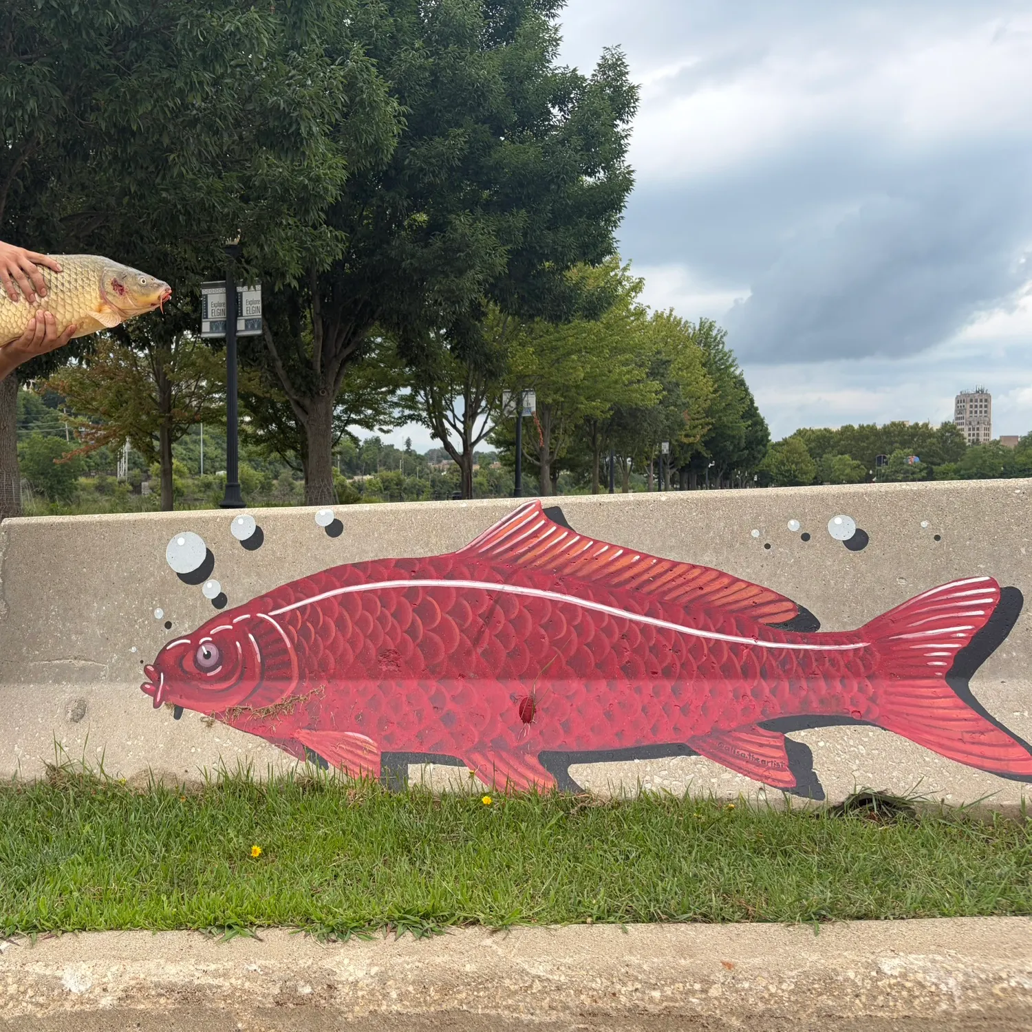 catch