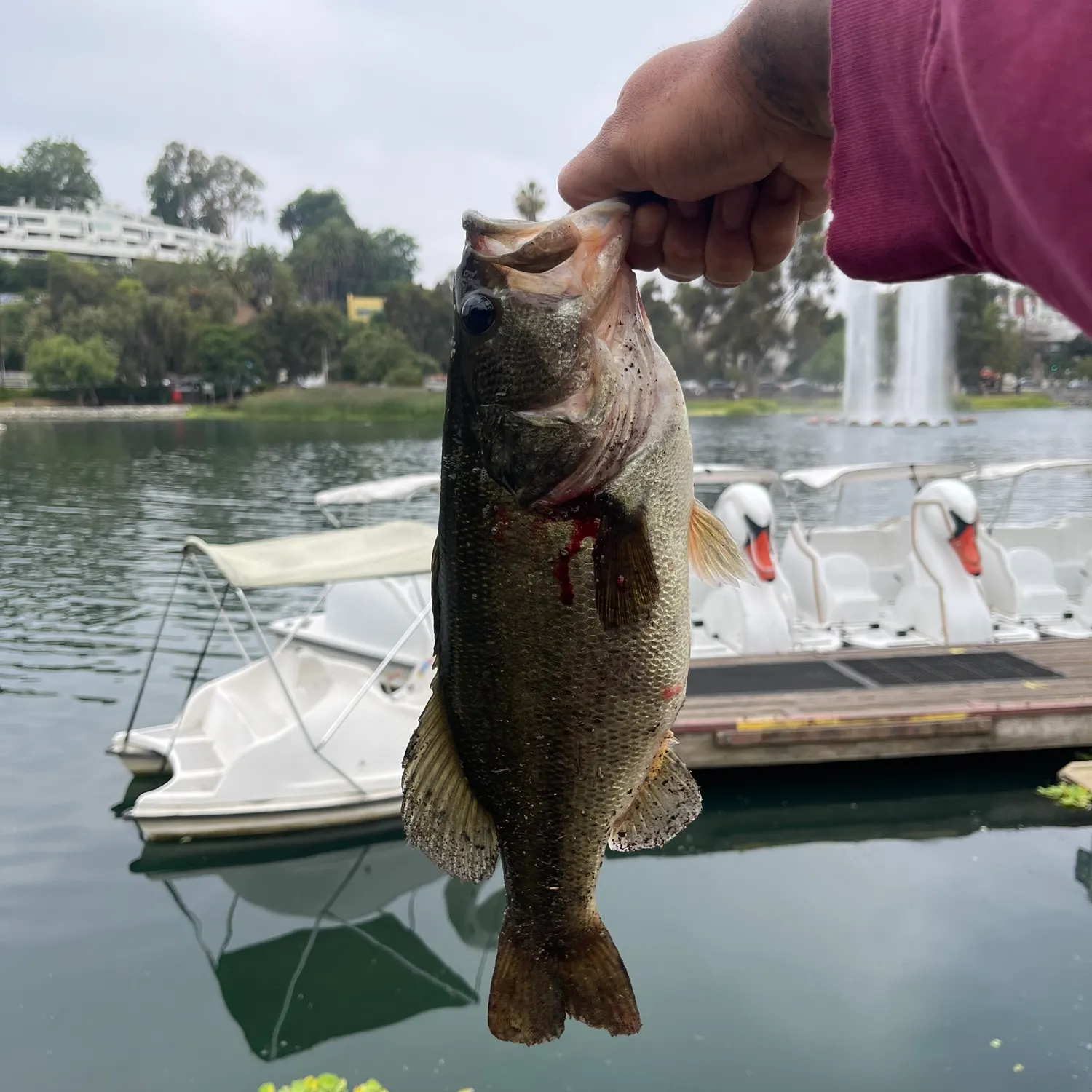 catch