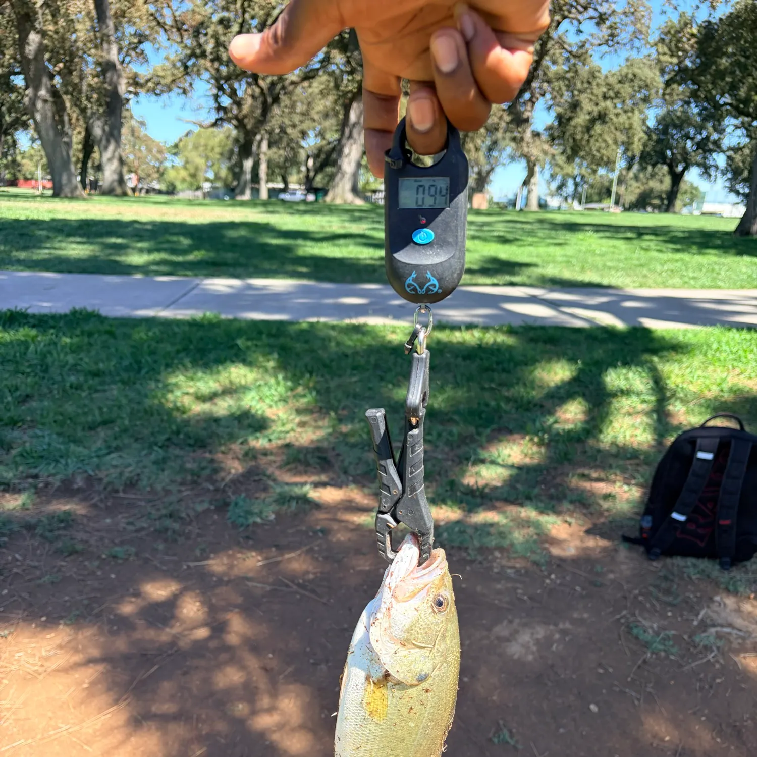 catch