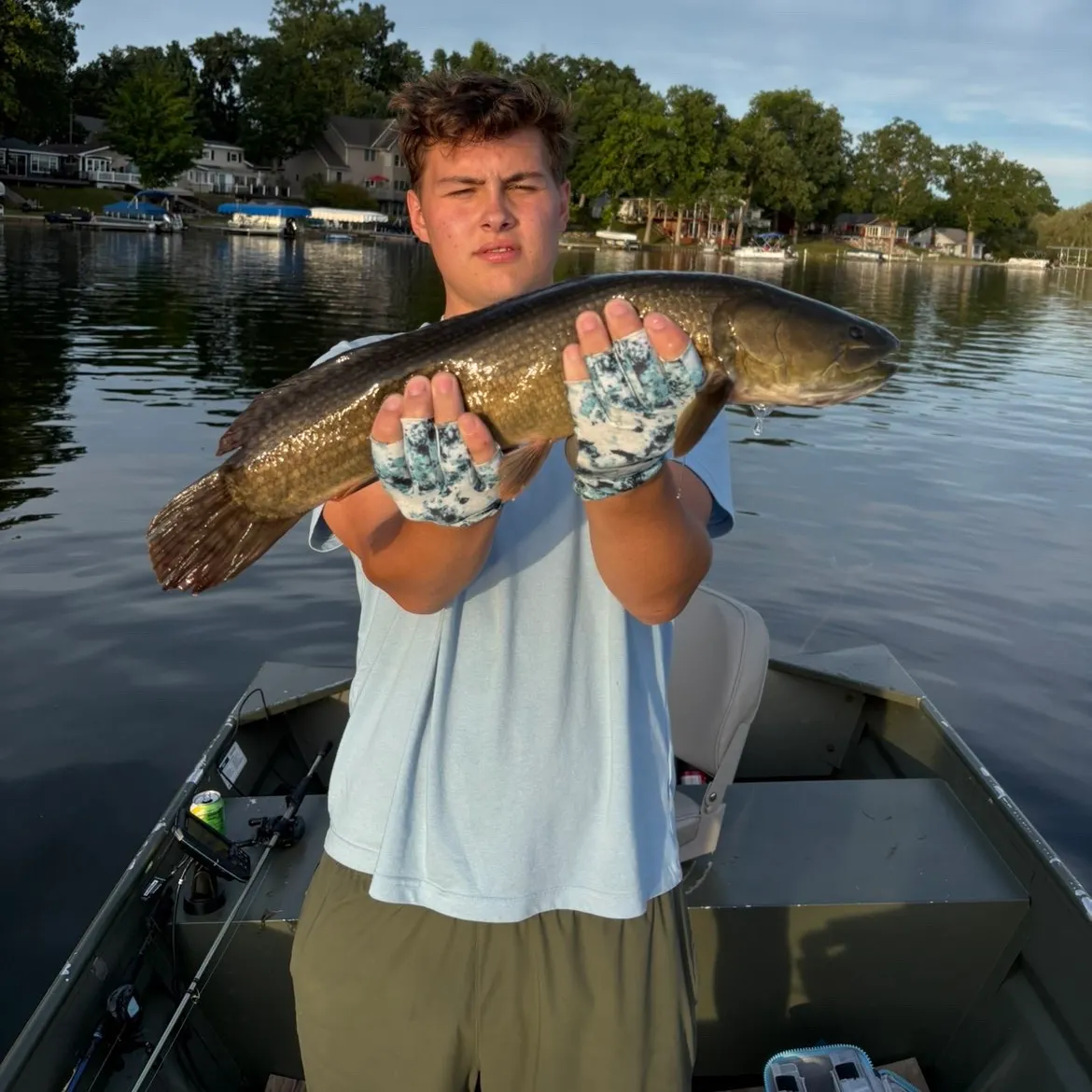 Eyetail bowfin caught on Fishbrain