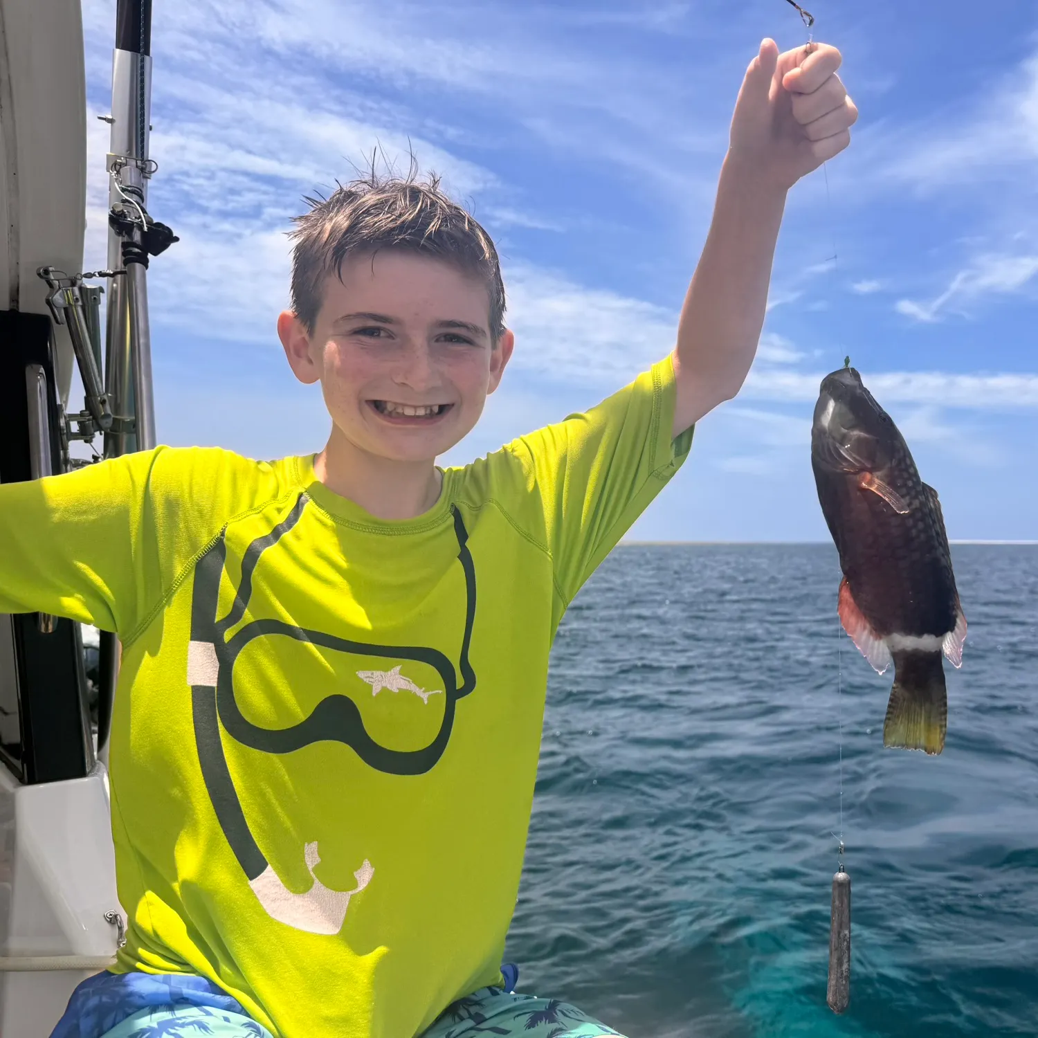 The most recent Ringtail maori wrasse catches on Fishbrain