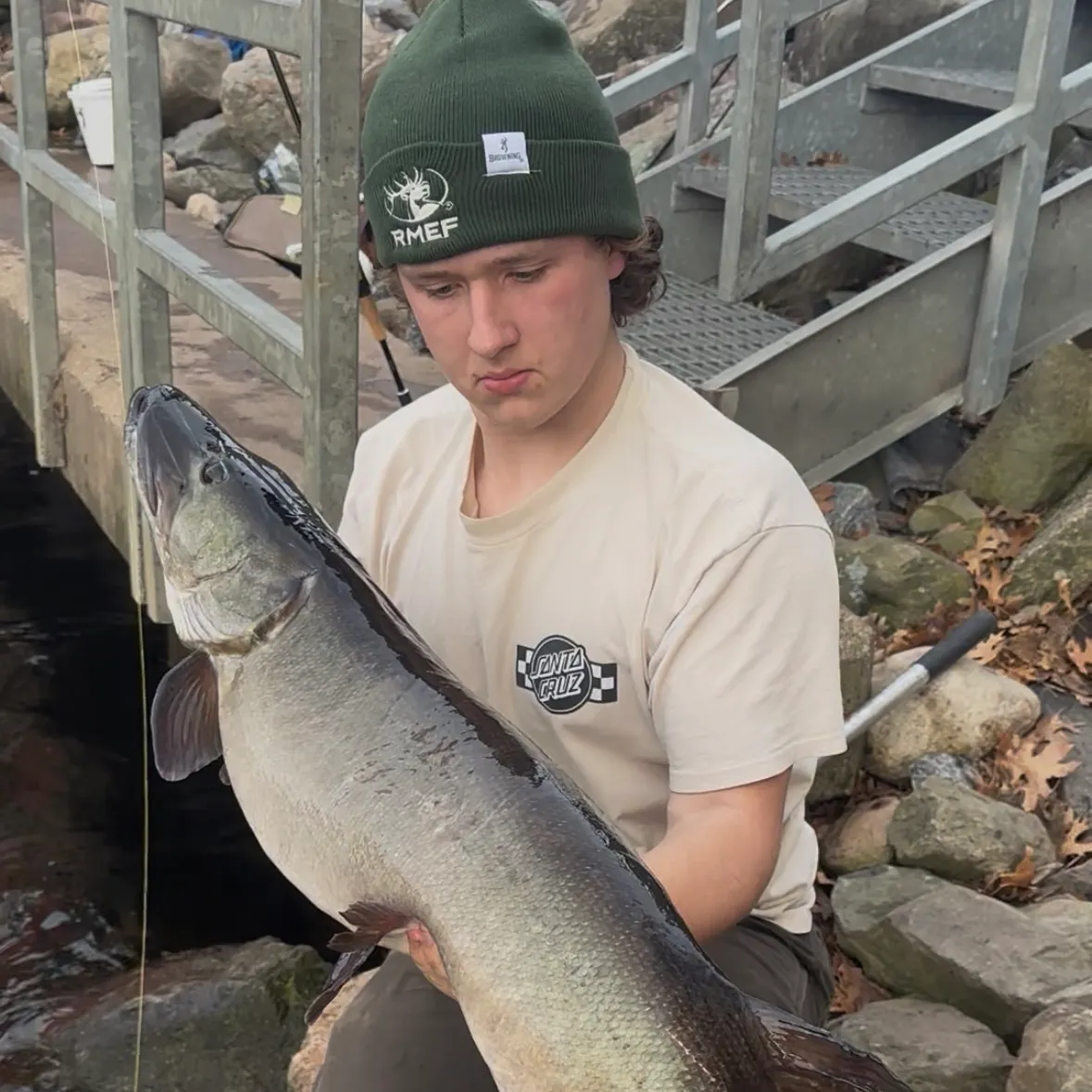 recently logged catches