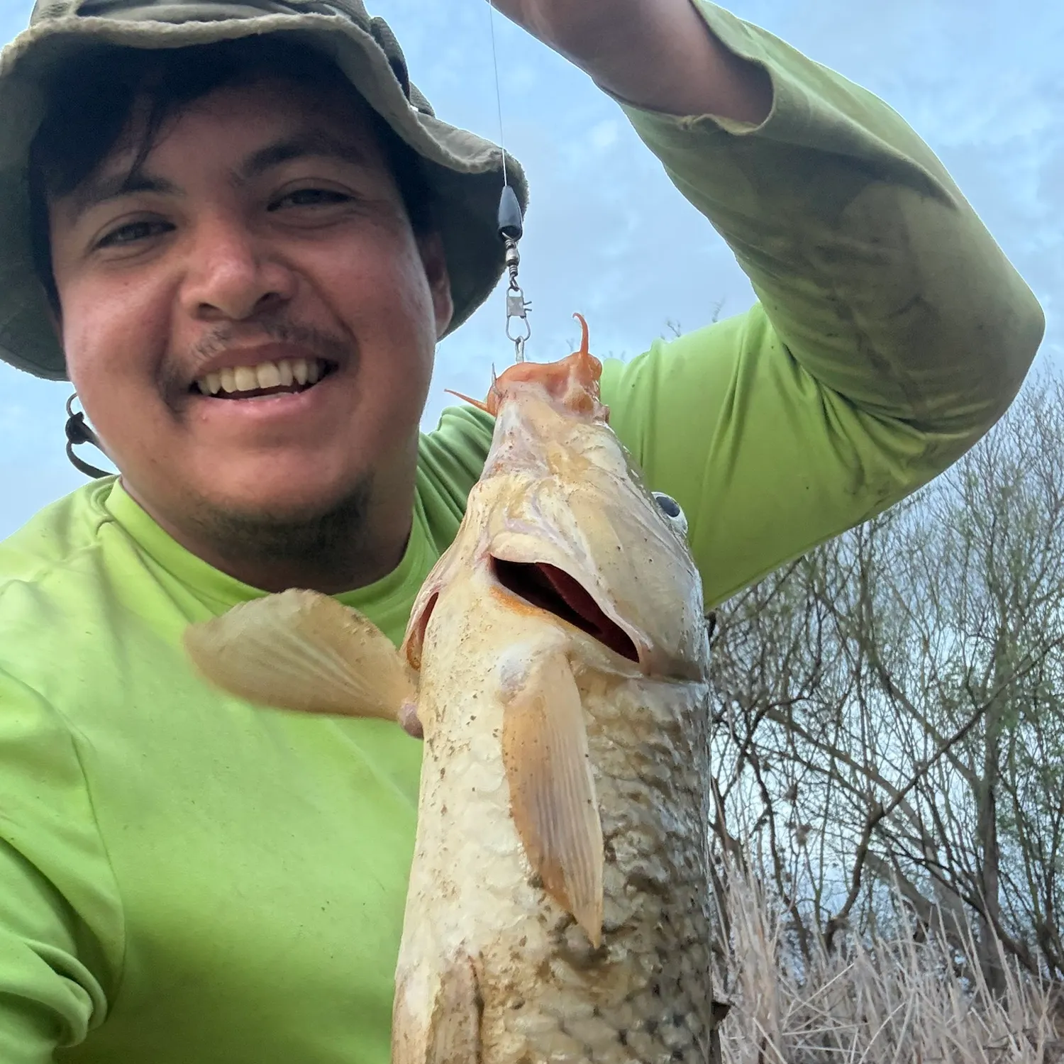 The most recent Shovelnose sturgeon catches on Fishbrain