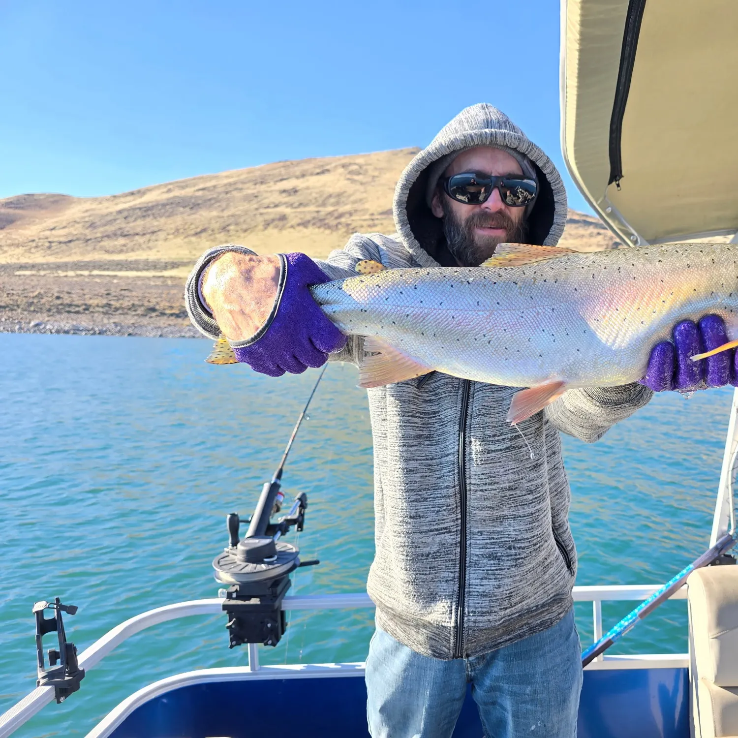 The most recent Lahontan cutthroat trout catches on Fishbrain