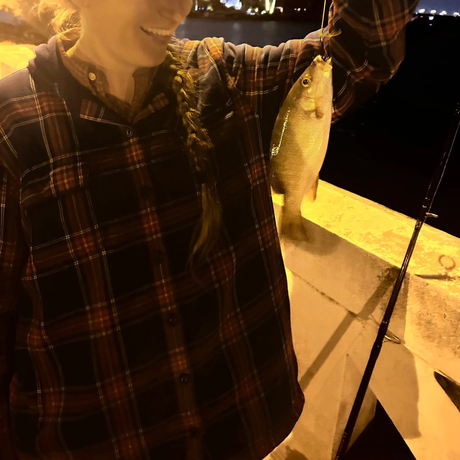 The most recent Mangrove snapper catches on Fishbrain