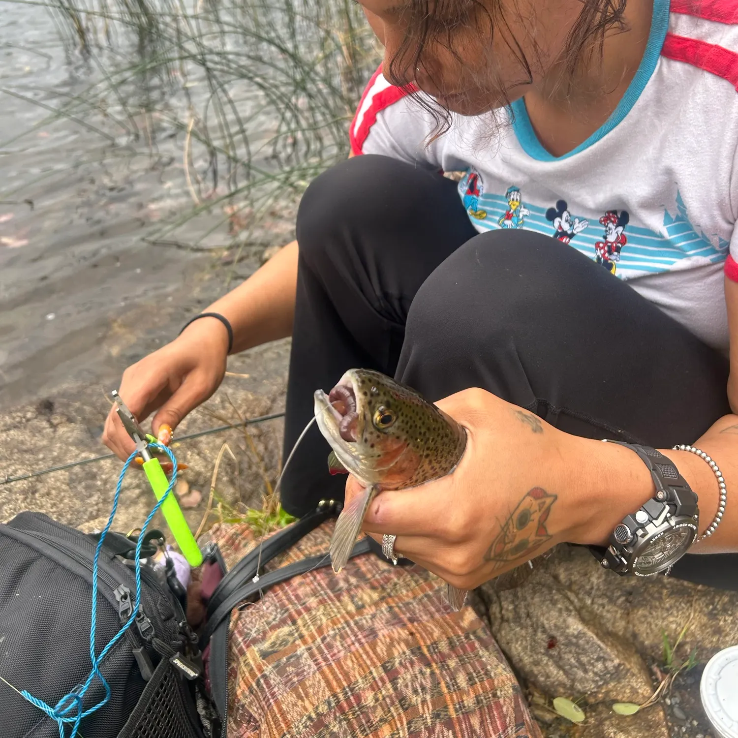 Rainbow trout caught on Fishbrain