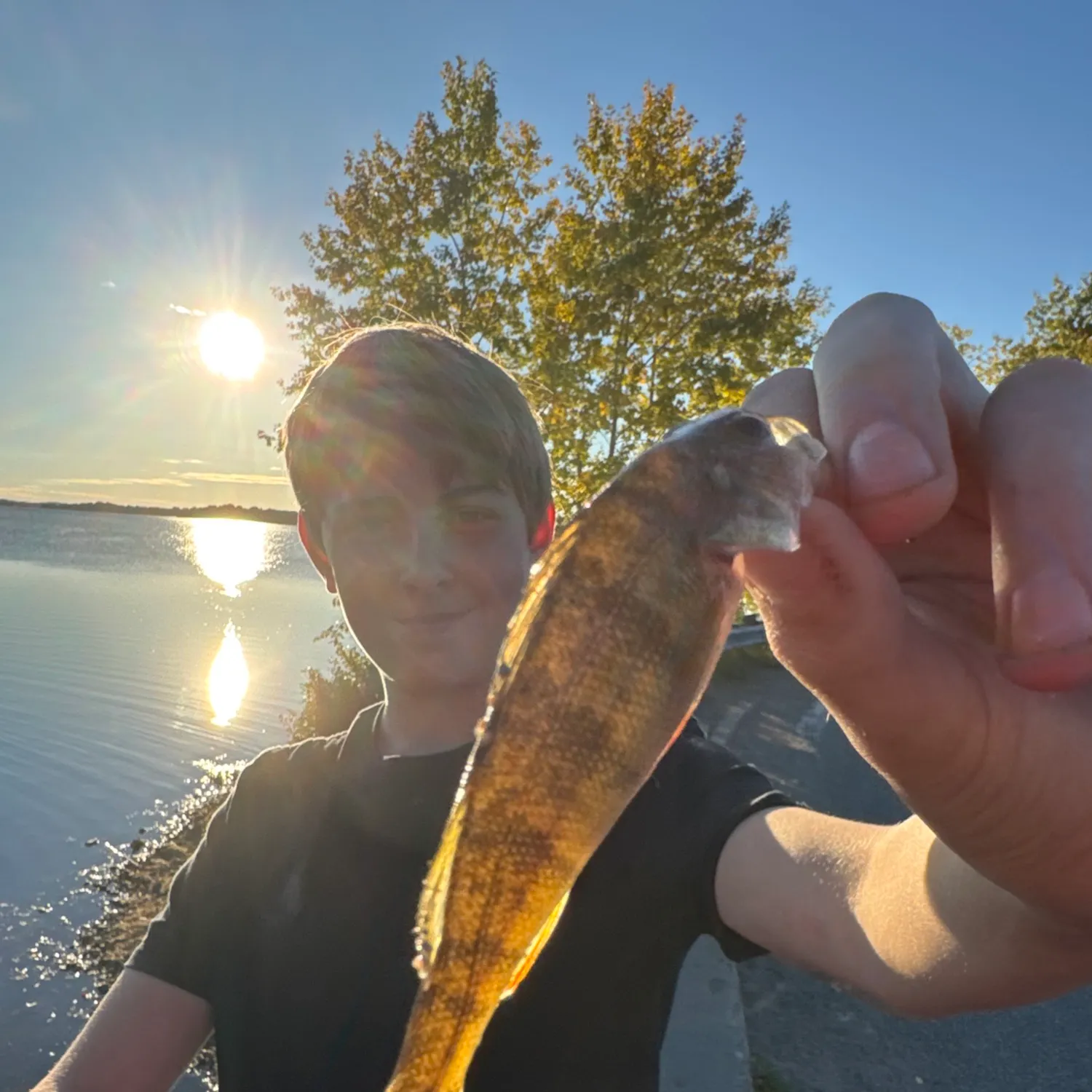 Sauger caught on Fishbrain