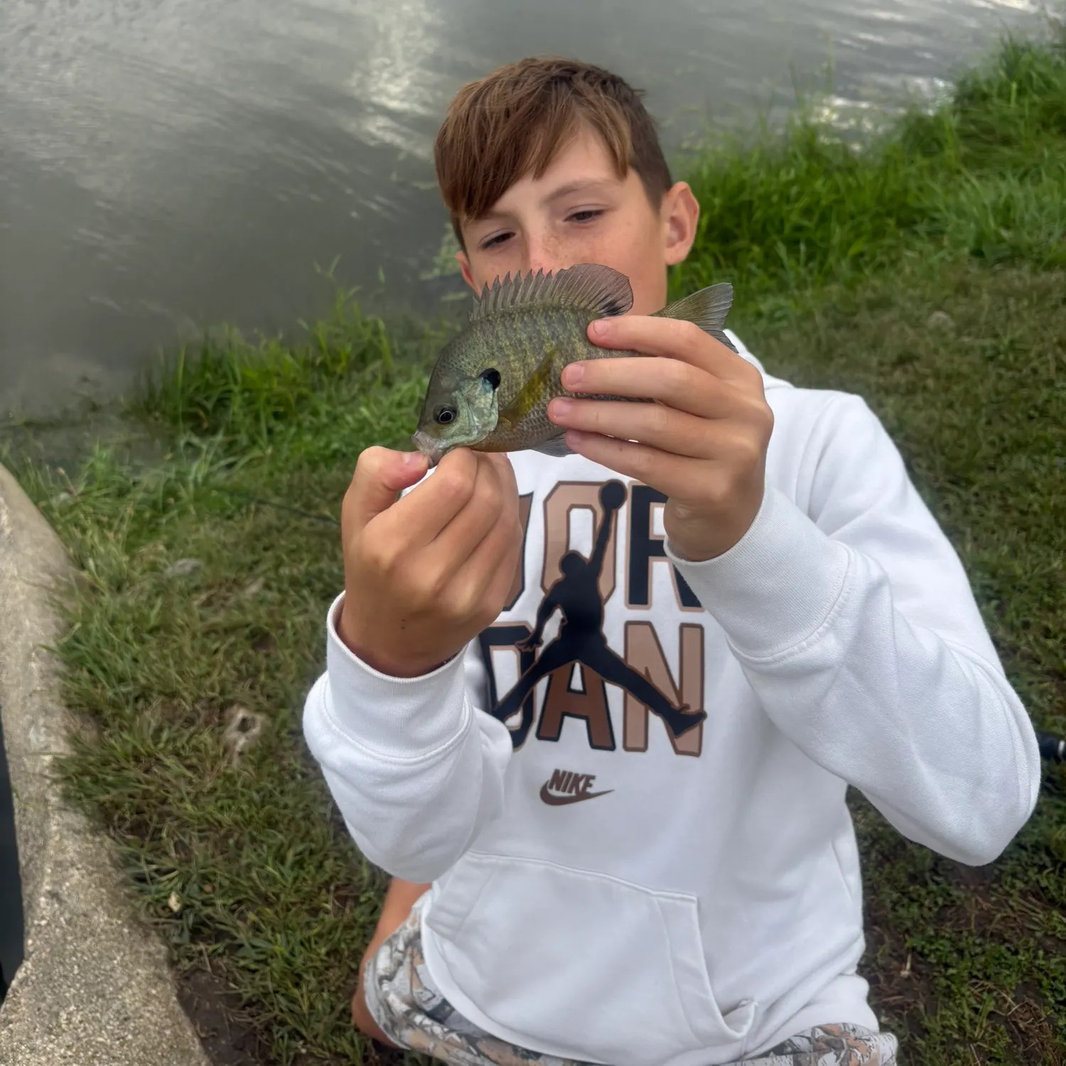 Bluegill caught on Fishbrain