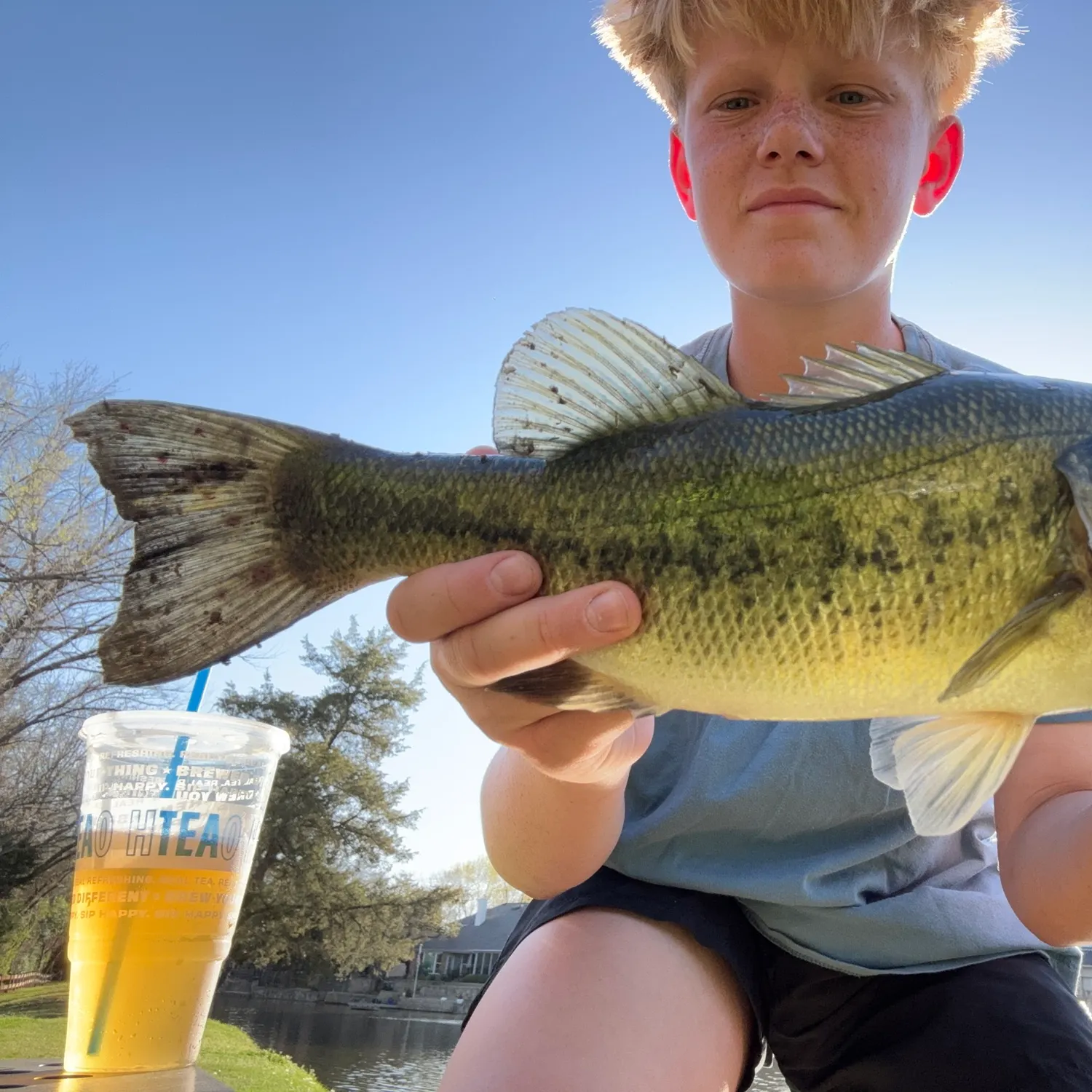 The most recent Largemouth bass catches on Fishbrain