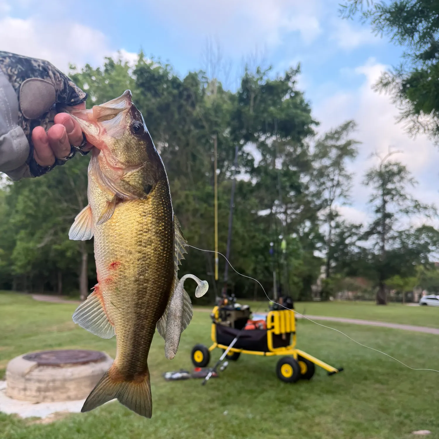 catch