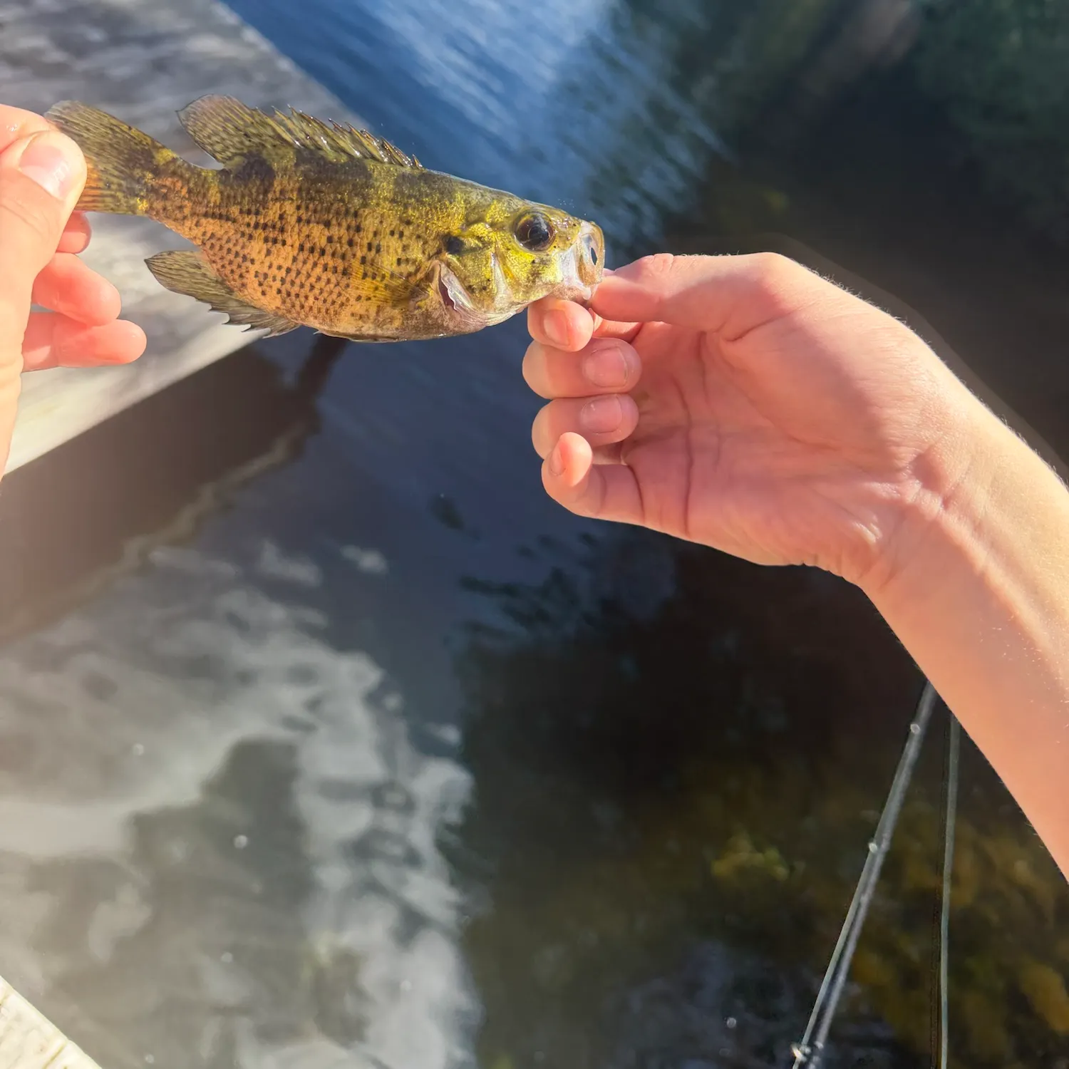 catch