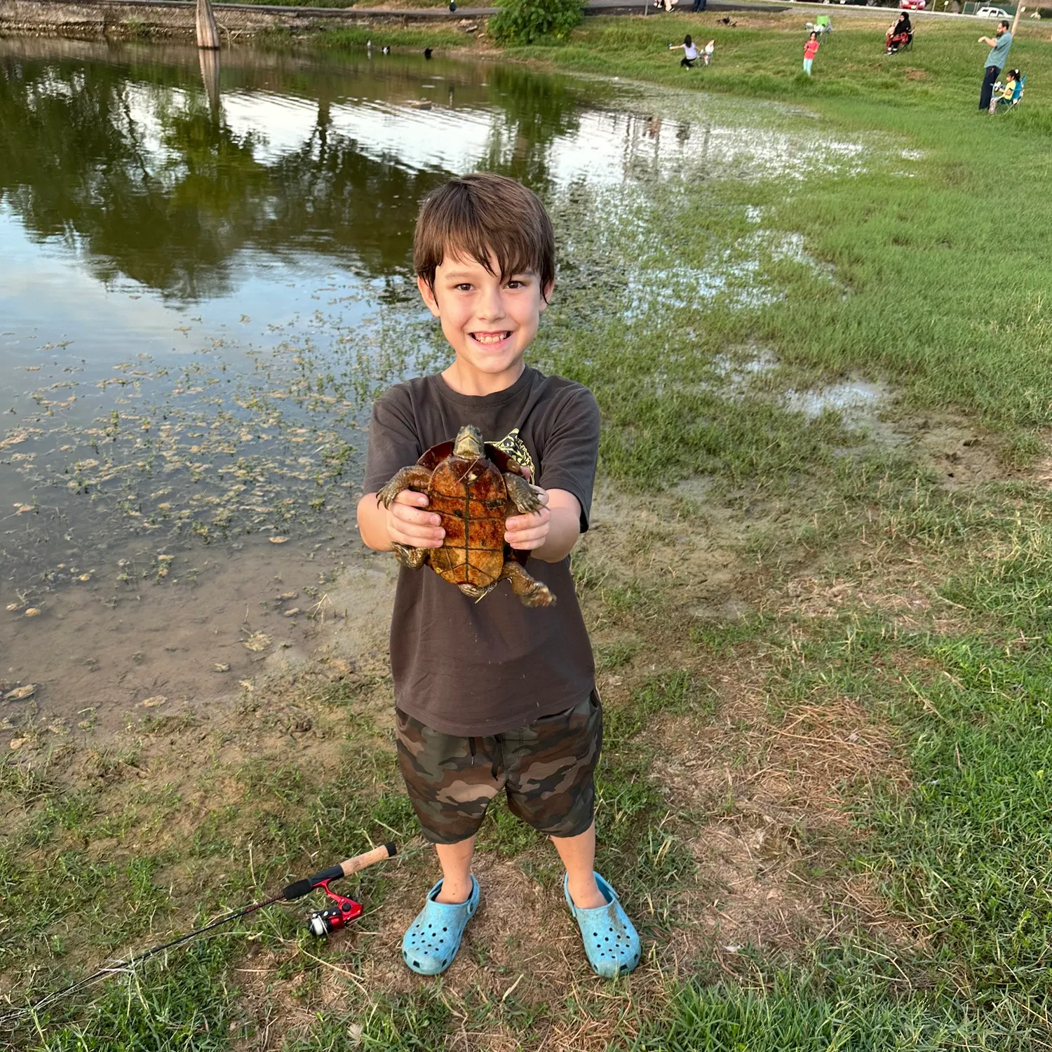 The most recent Eastern mud turtle catches on Fishbrain