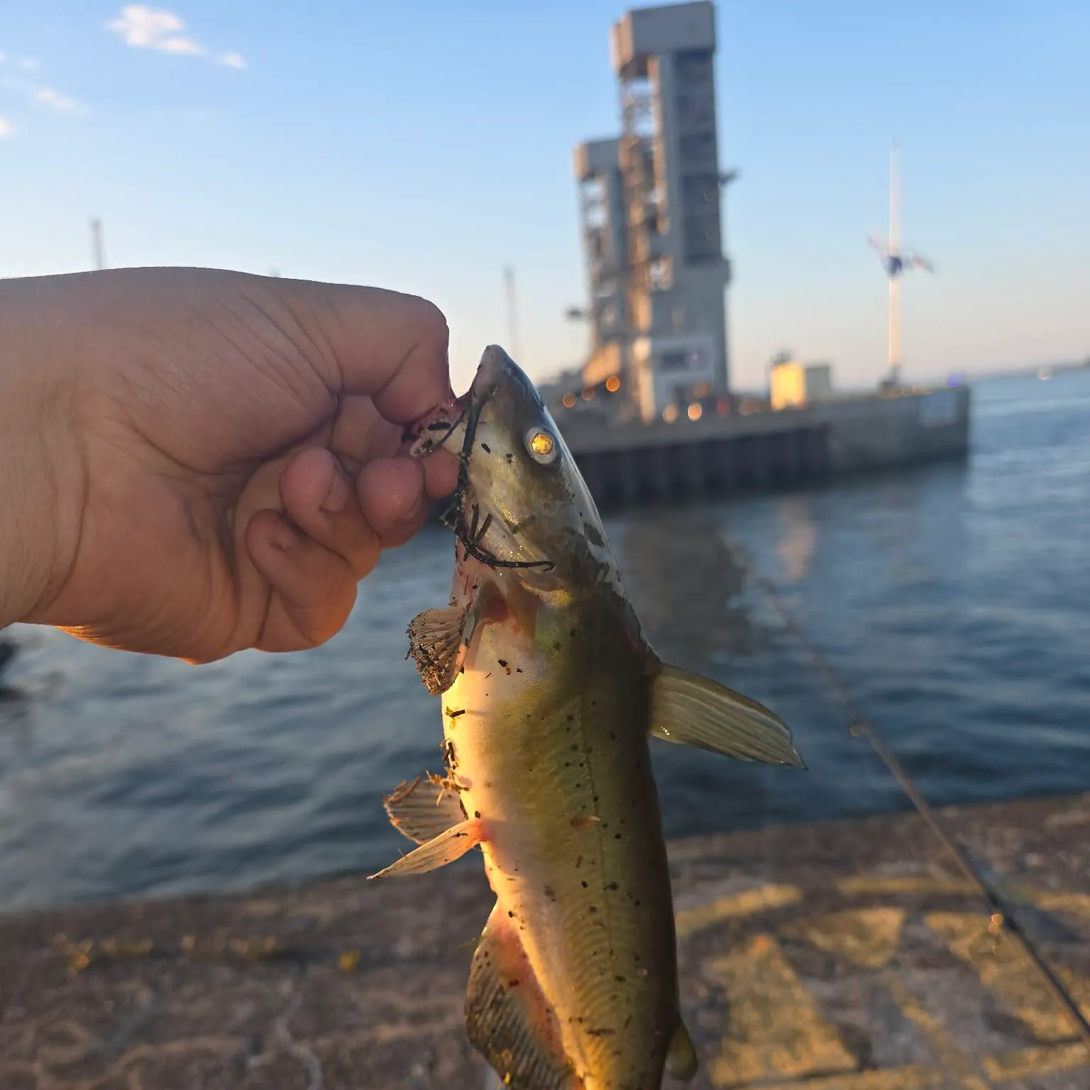 catch