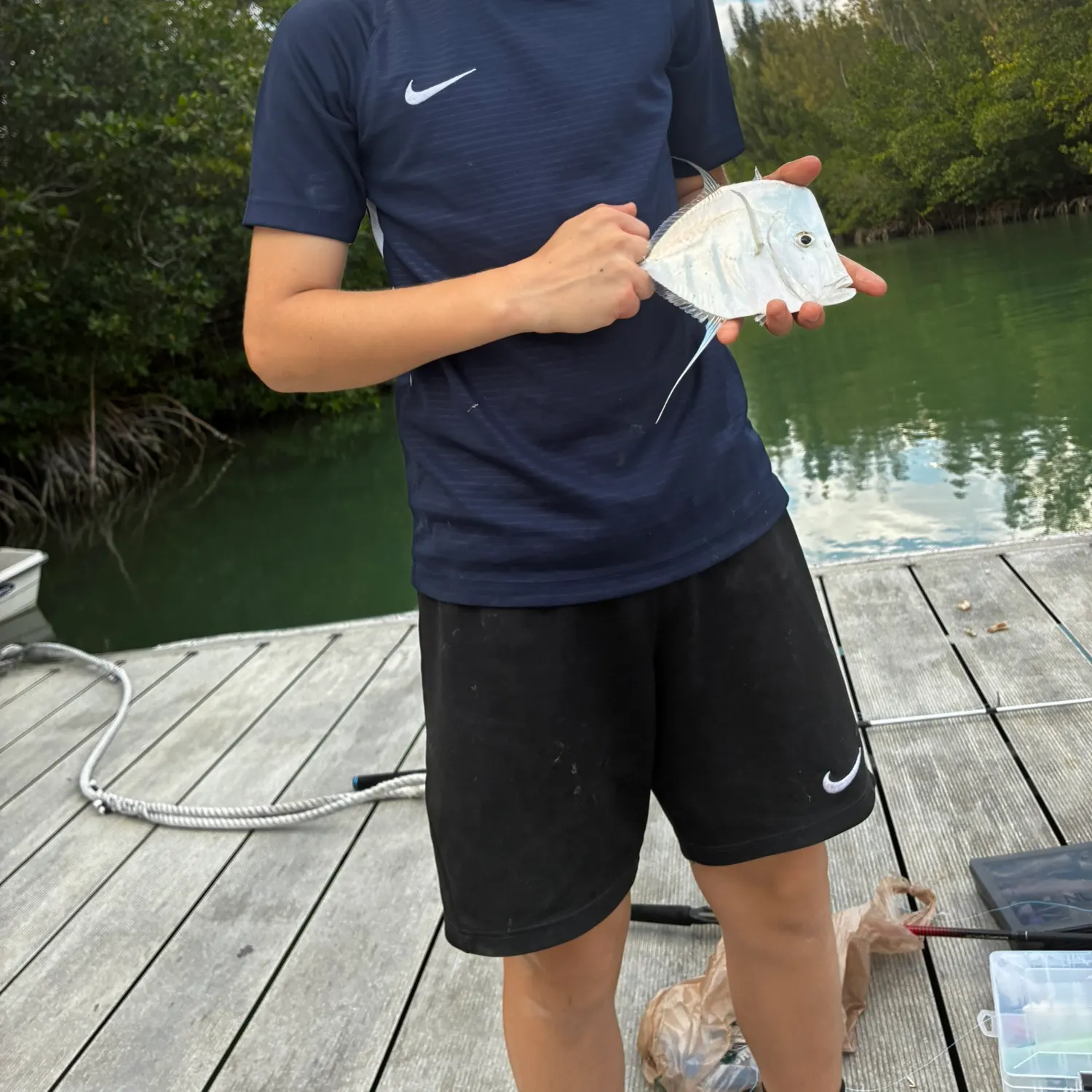 The most recent Lookdown catches on Fishbrain